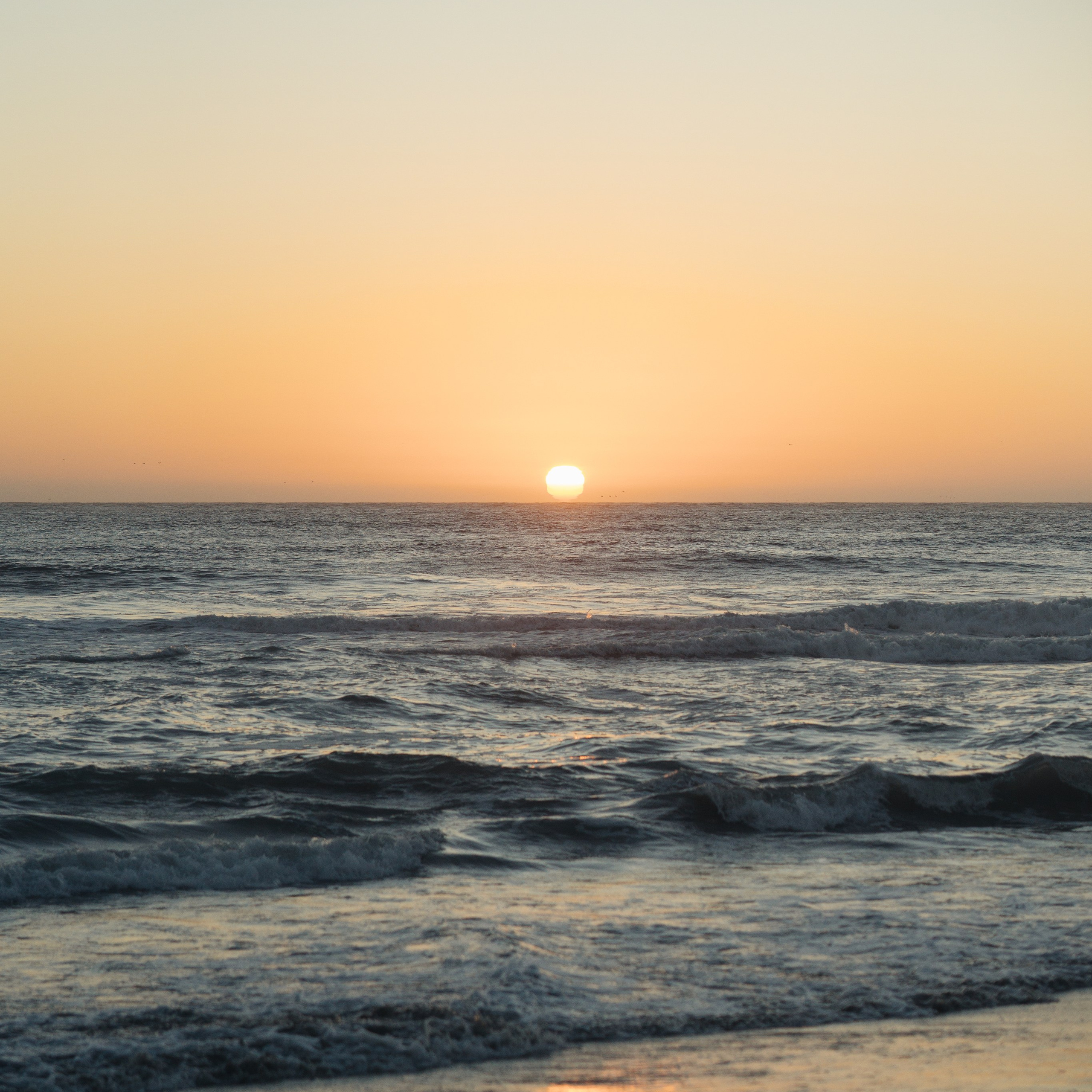 Discover the Magic of Sutro Baths for Your Photoshoot. Soulo Photography | San Francisco Bay Area Based Photographer