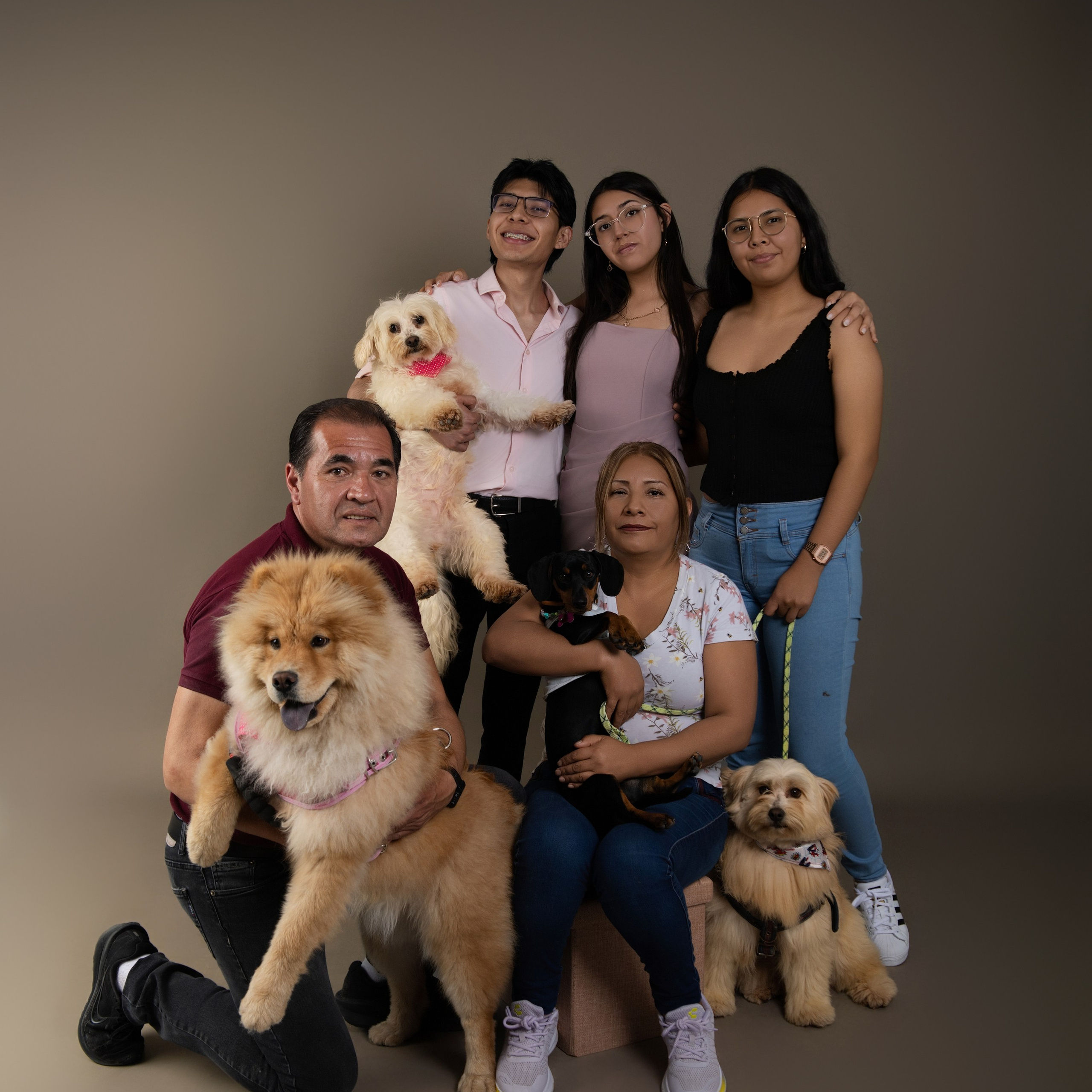 Servicios. Principal