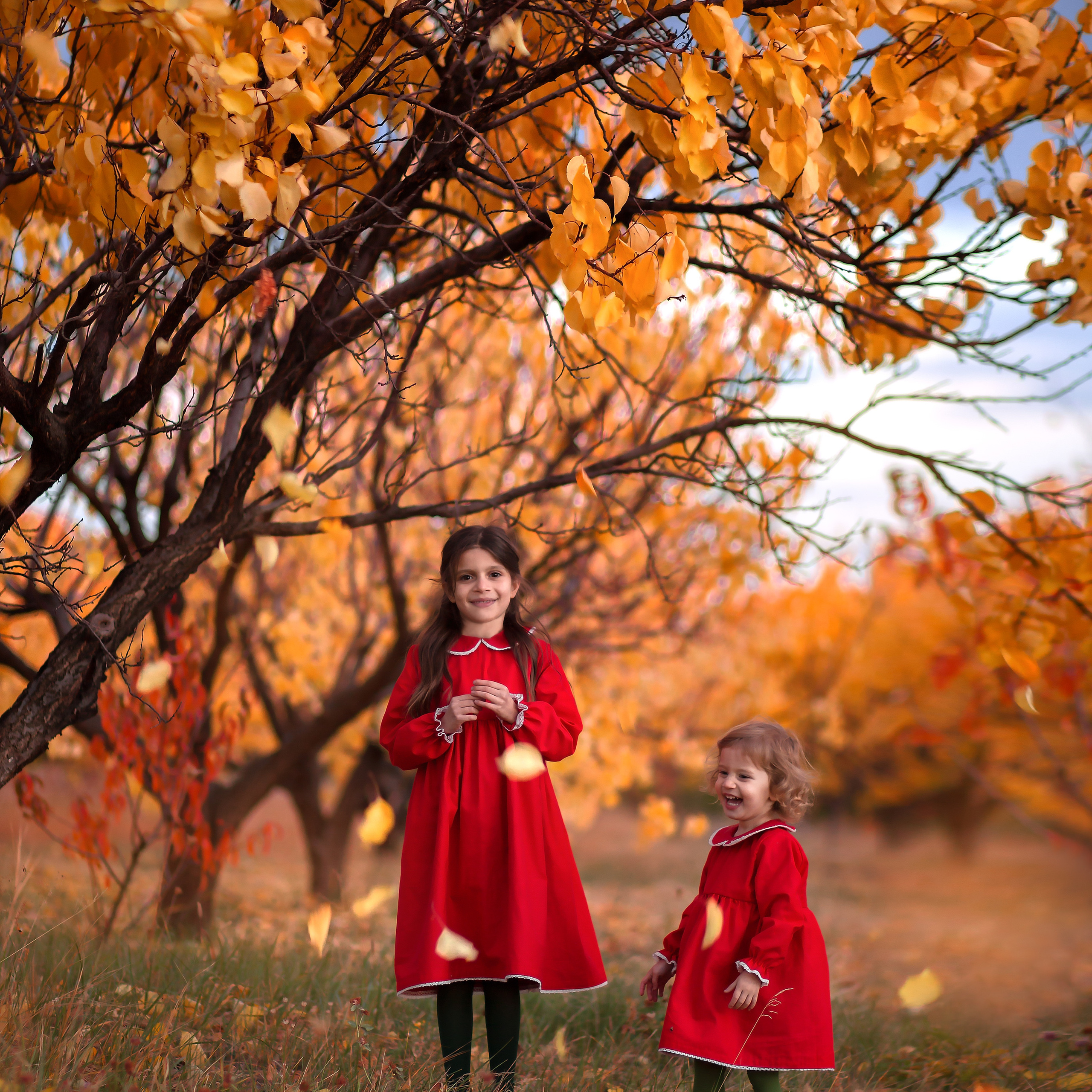 Стоимость услуг—Грузия. Детский и семейный фотограф Армения, Грузия