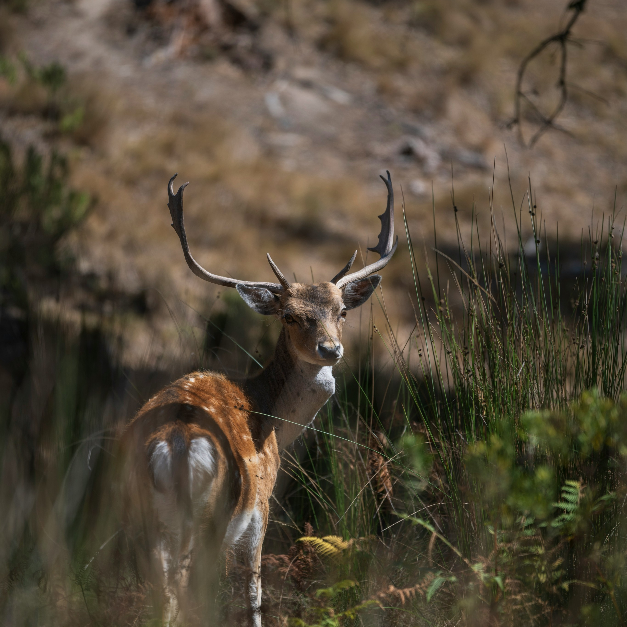 Мафра — королевский дворец, музей-деревня и океан в Эрисейре. Экскурсии по Португалии с гидом-фотографом на автомобиле и пешком