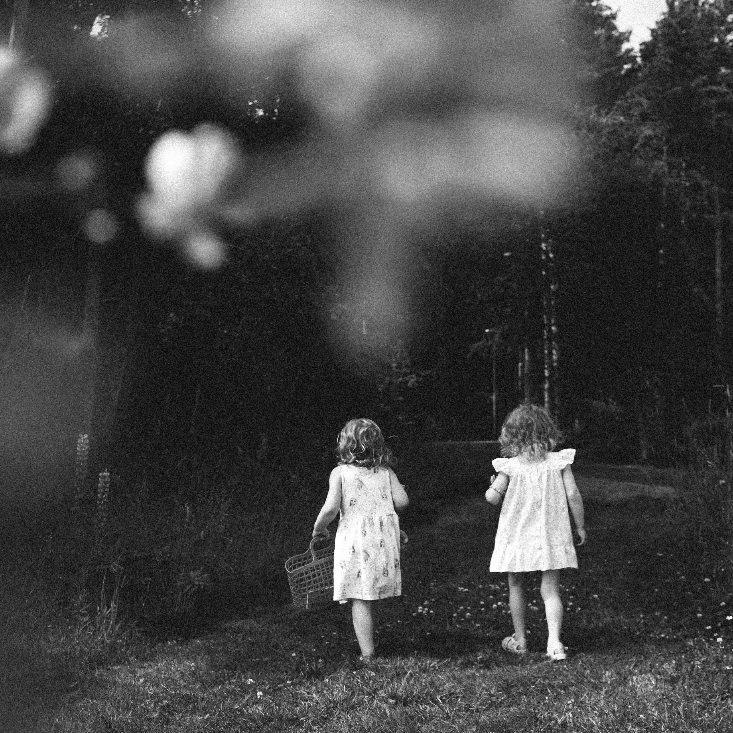 Services. Wedding and family photographer in New York Paula Munoz