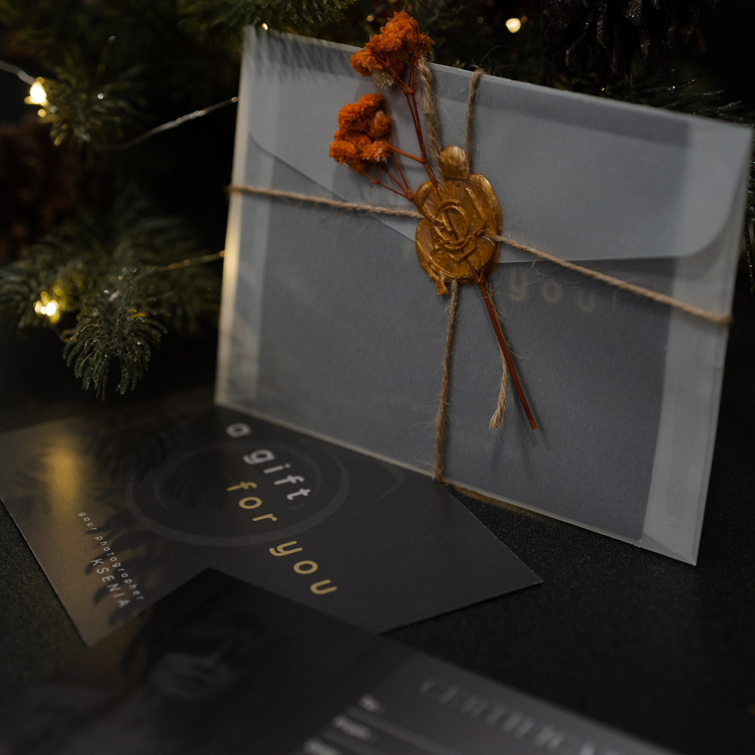 Gift Certificate. Portrait, family, maternity & wedding photography & videography in SoCal Kseni Vibe