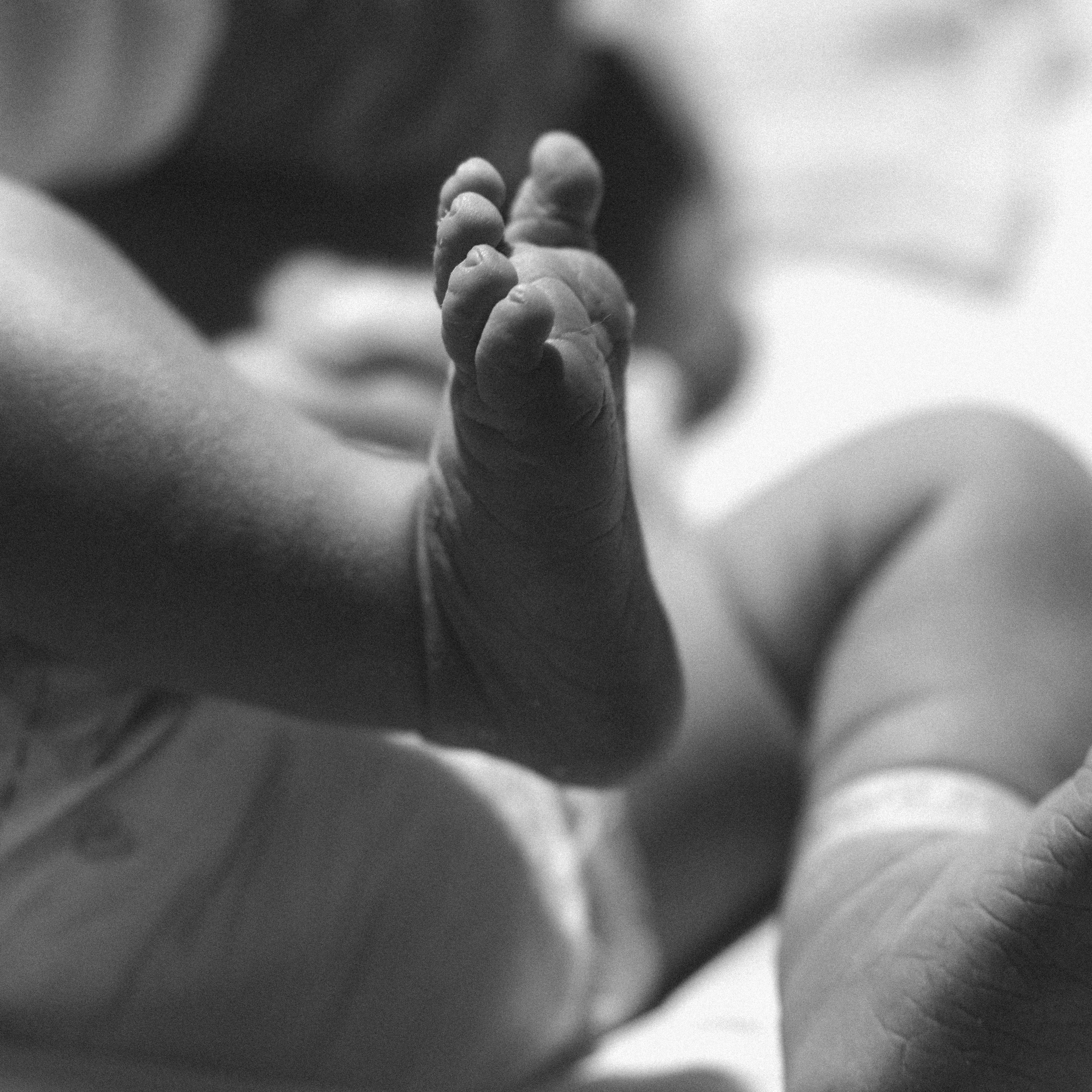 Lena Fedorov Photography — maternity, newborn, family, birth & beauty in Boca Raton, South Florida