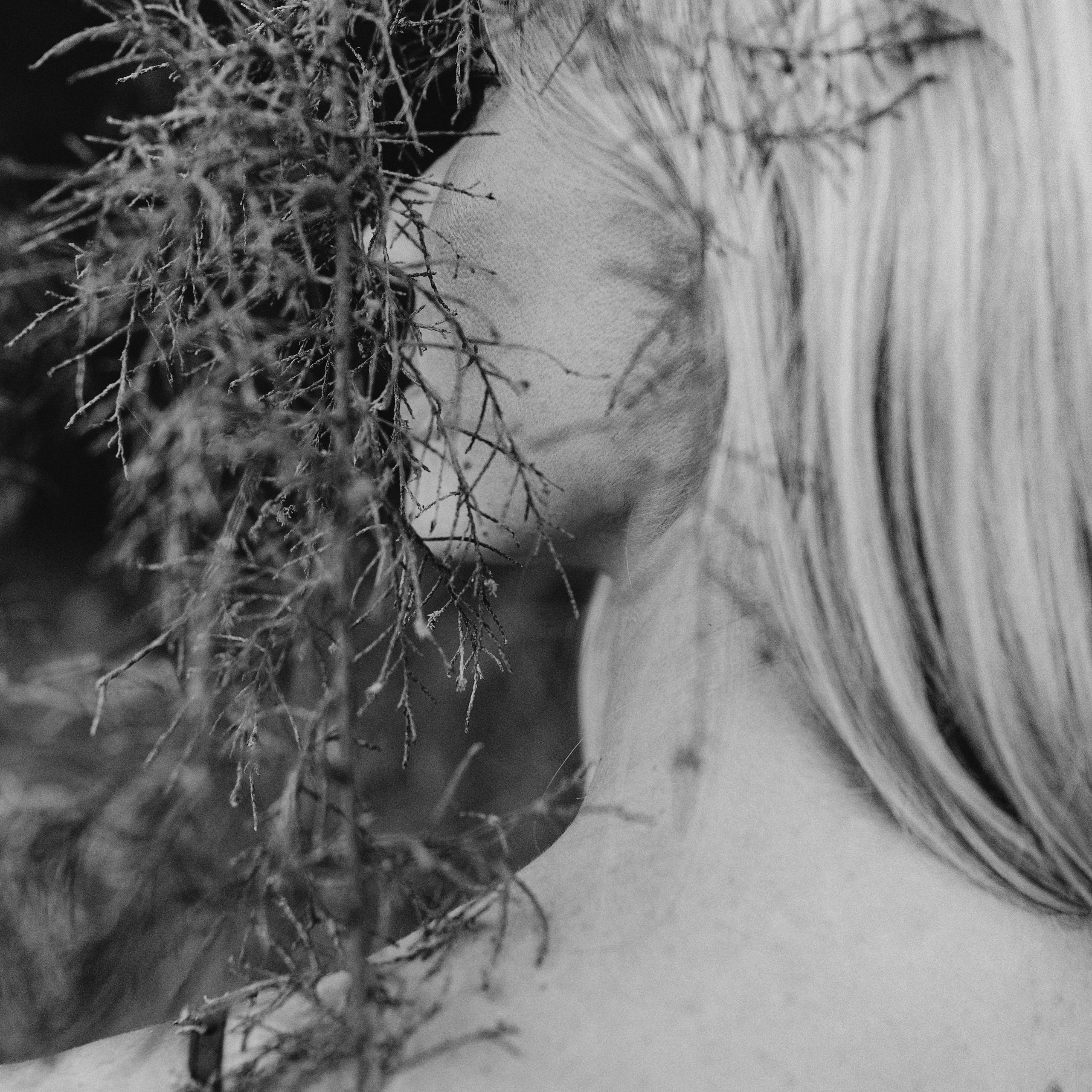 Абстрактное фото