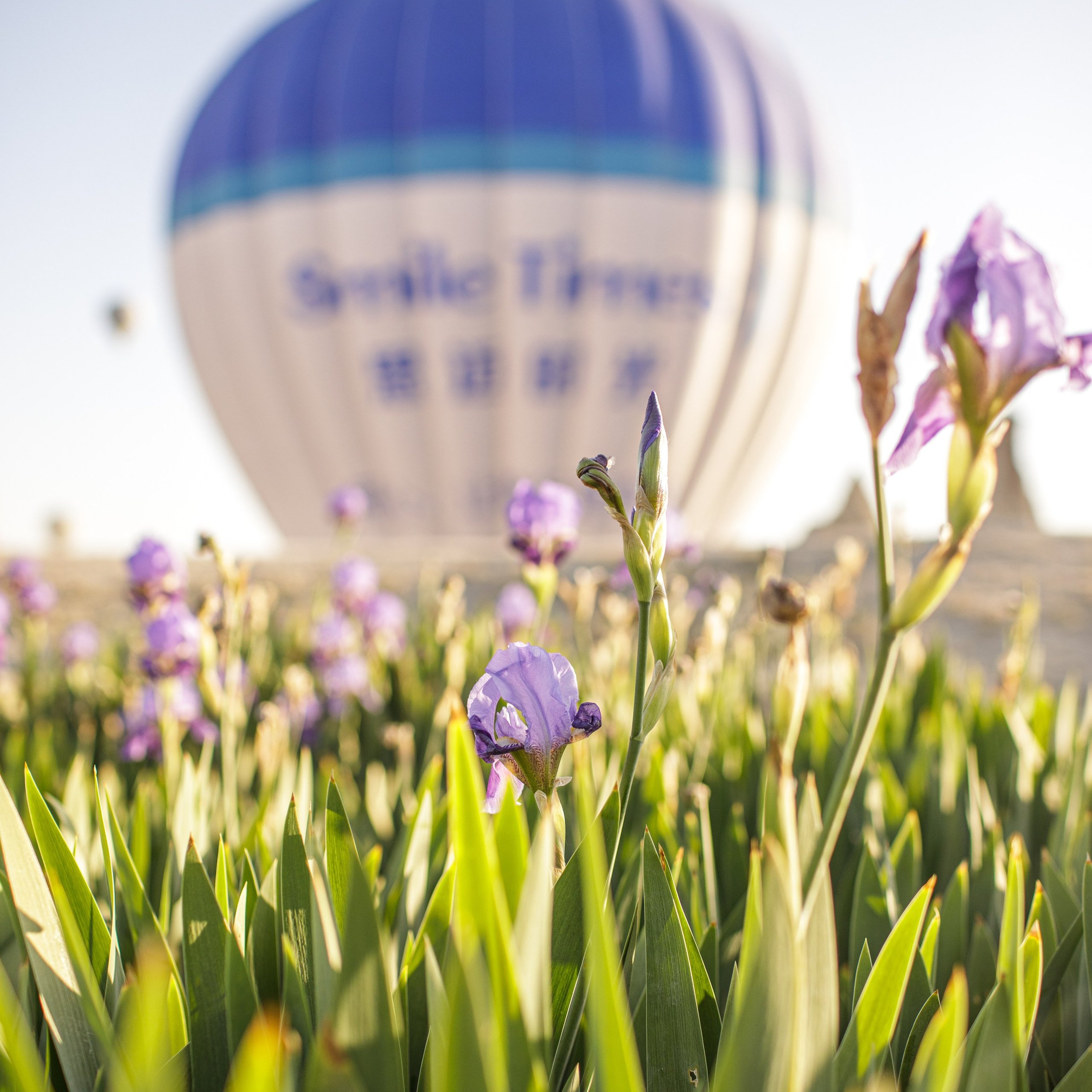 Климат и погода в Каппадокии. Ваш помощник в Каппадокии: Индивидуальные экскурсии, маршруты, полеты на воздушном шаре и другие активности