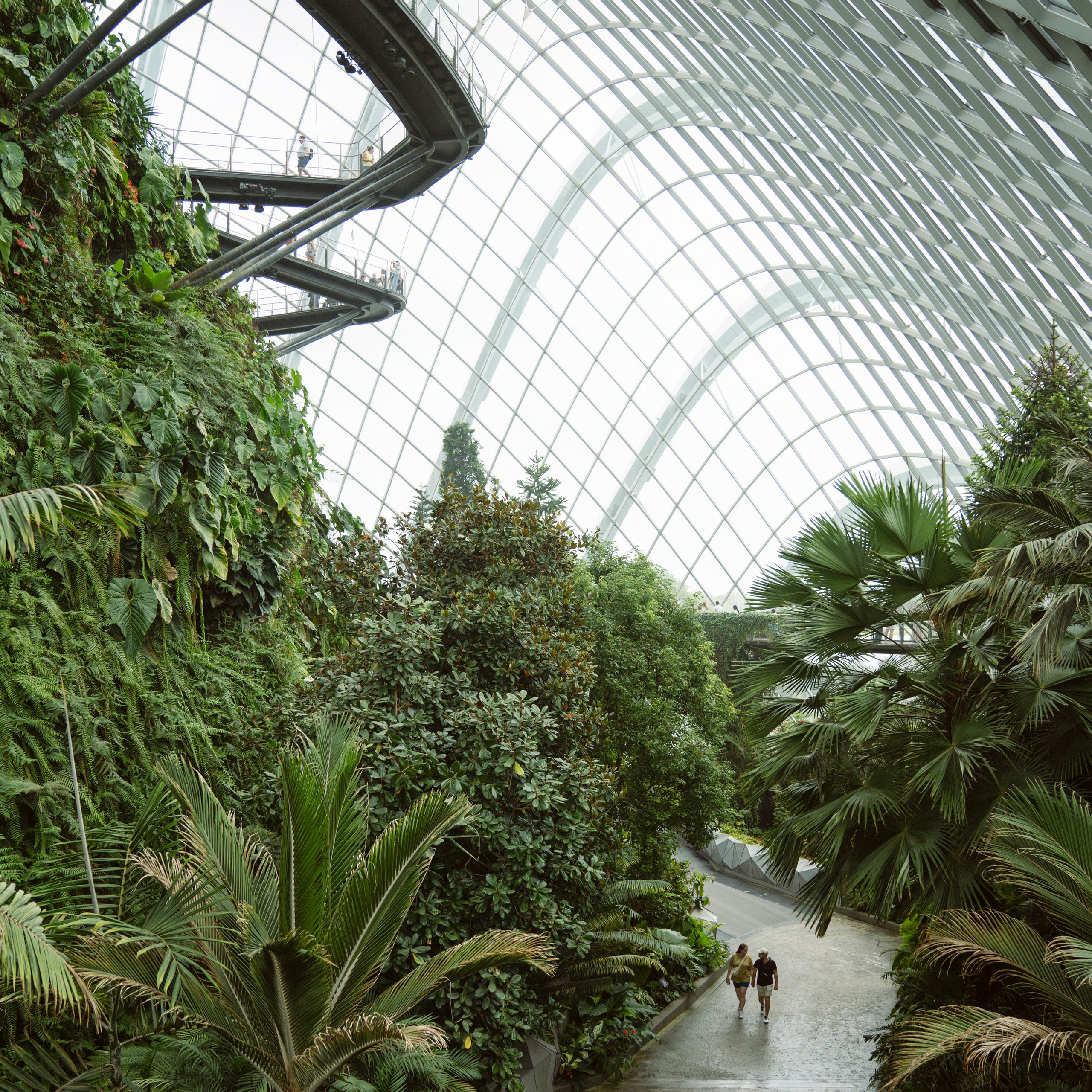 Gardens by the Bay. Dasha in Singapore