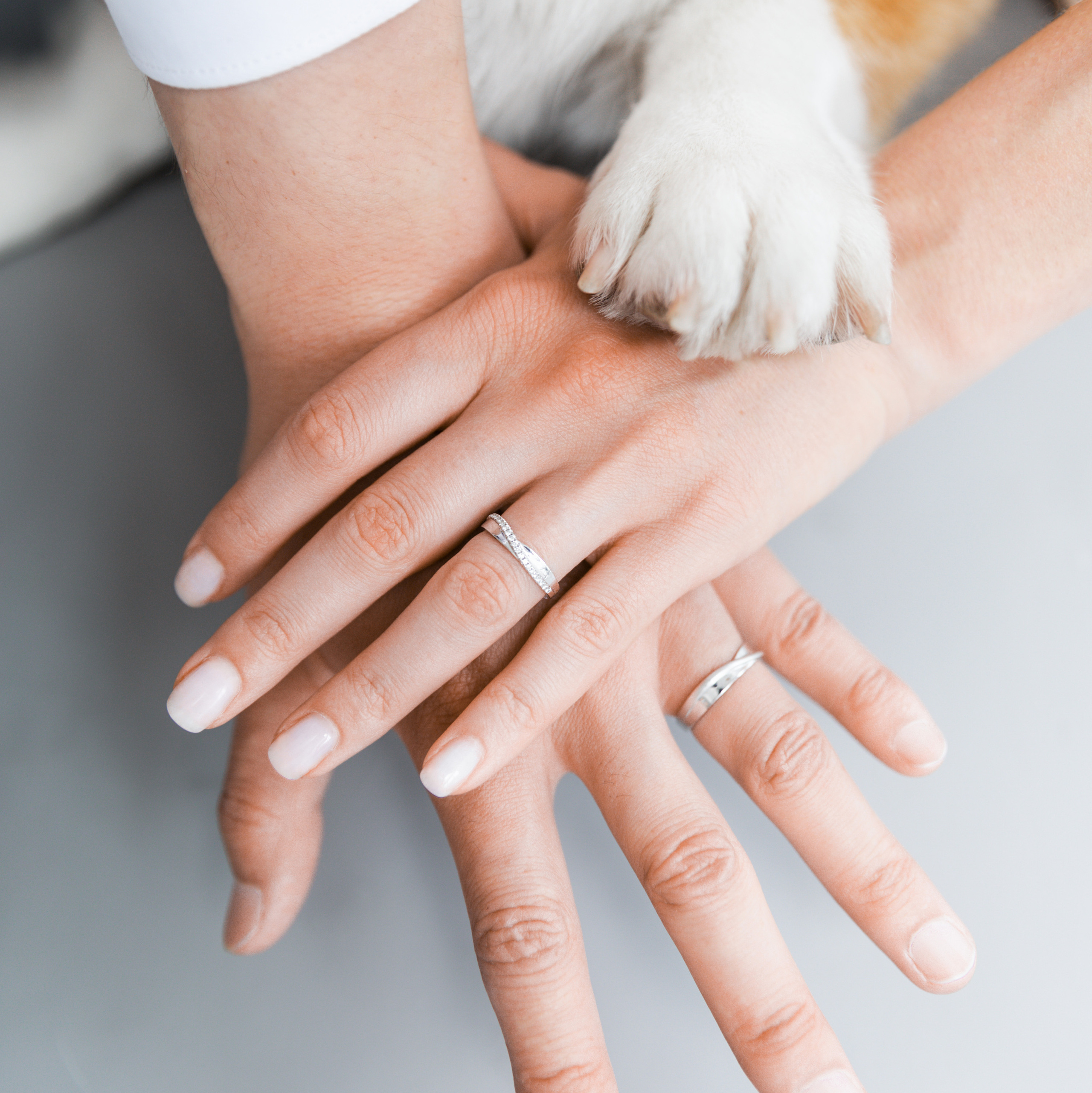 Prices. Photographer in Shanghai and Hangzhou Alis Lud