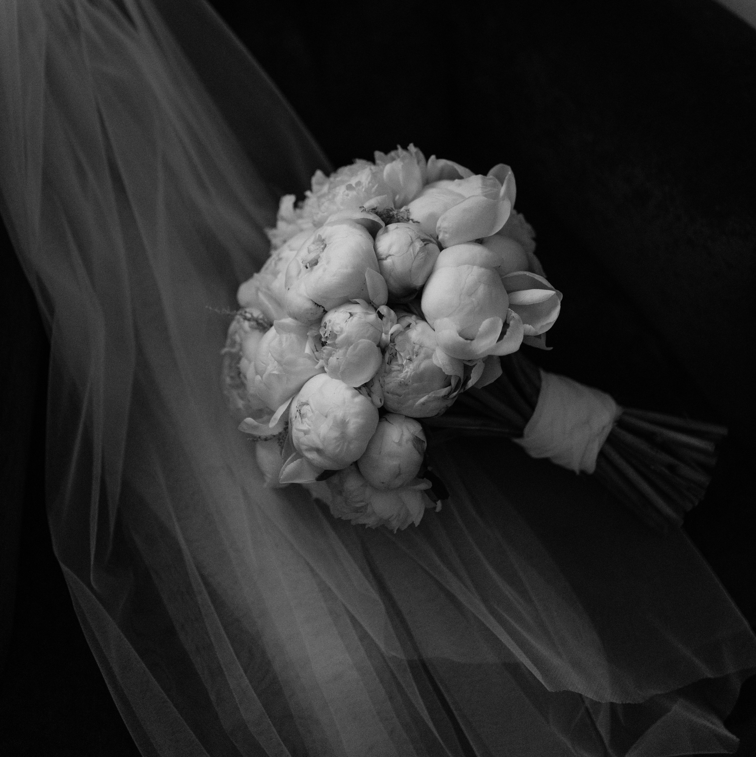 Ціни. Весільний та сімейний фотограф у Харкові Ткаченко Світлана