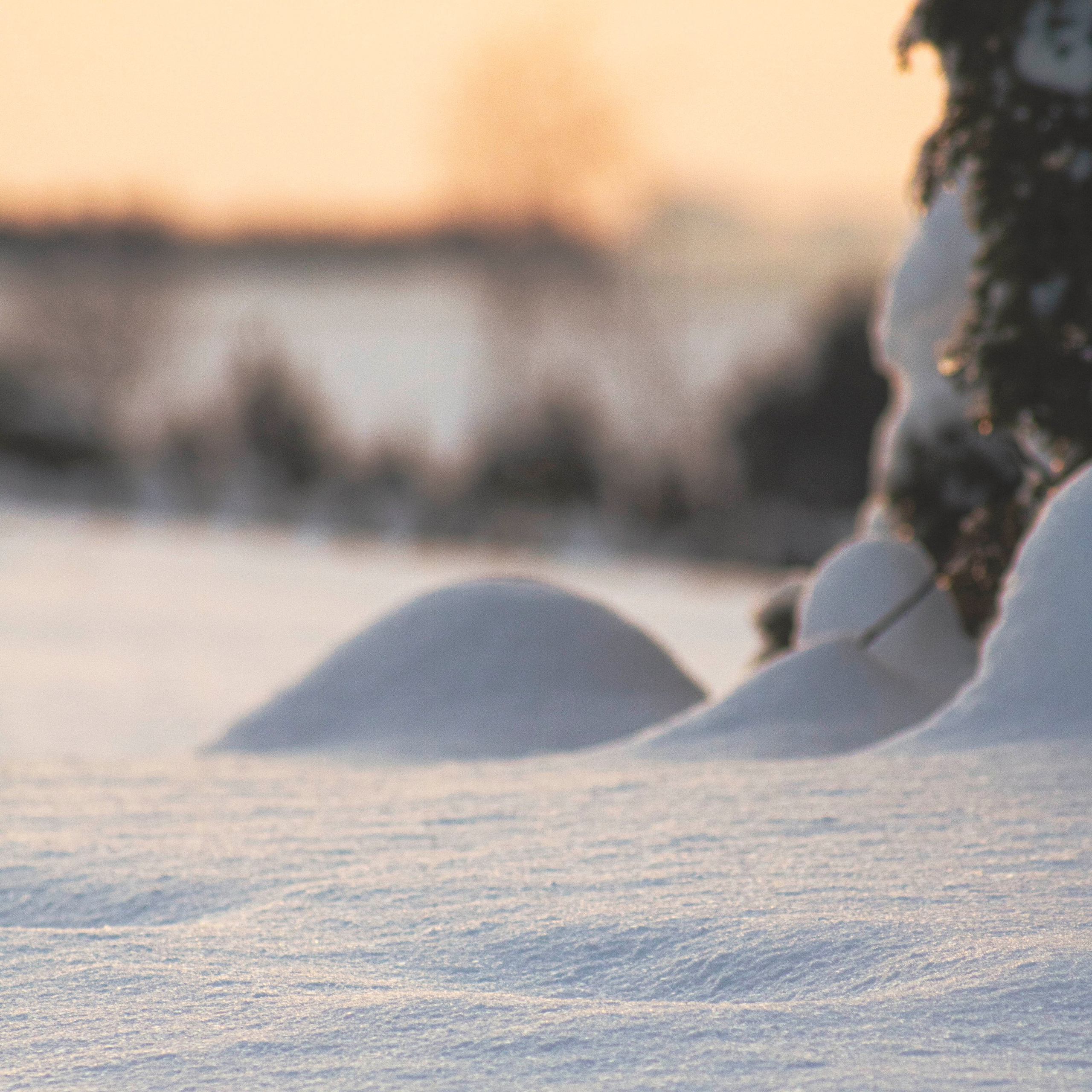 LondonSpeed. LondoSpeed Photography