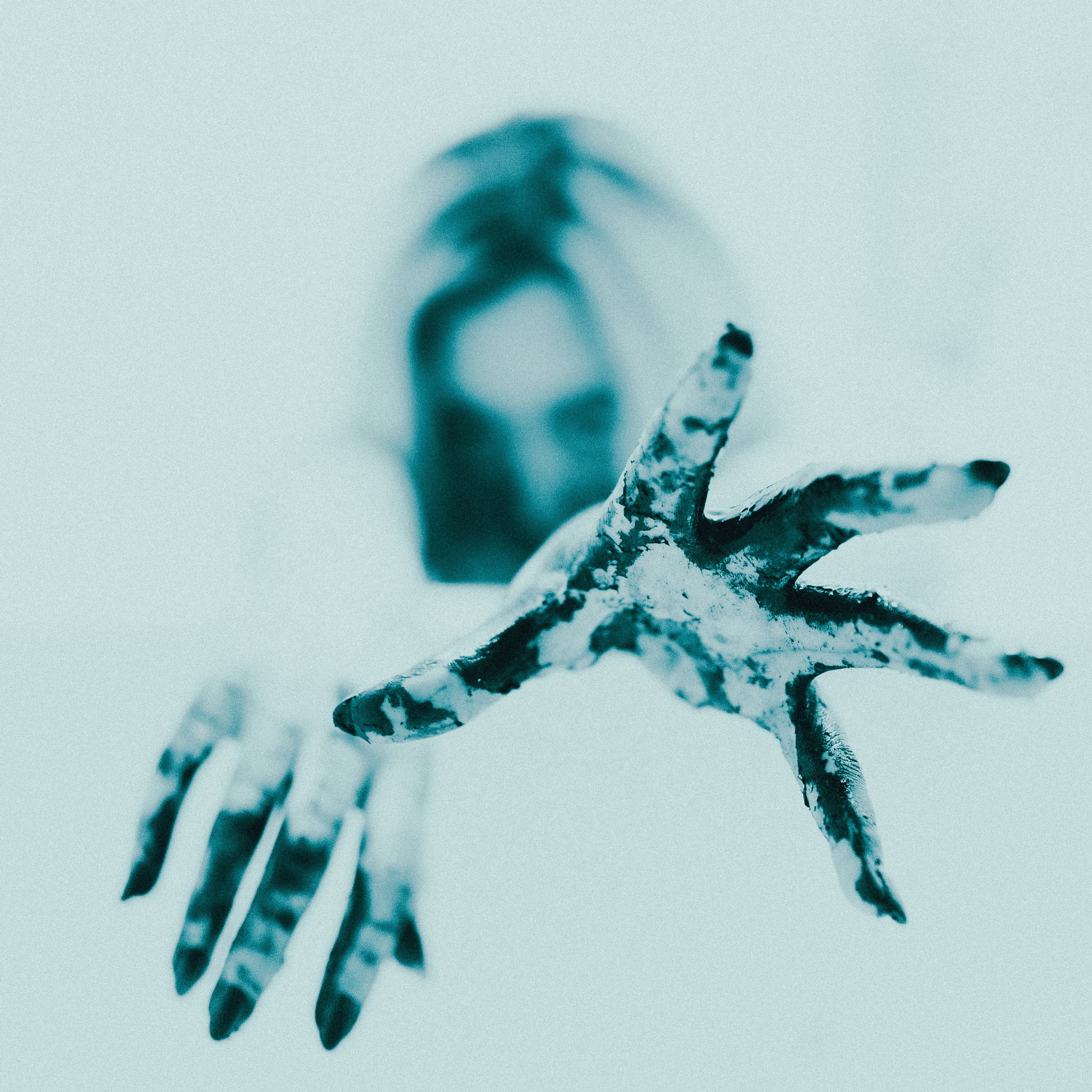 Price. Karine Photographer|Videographer