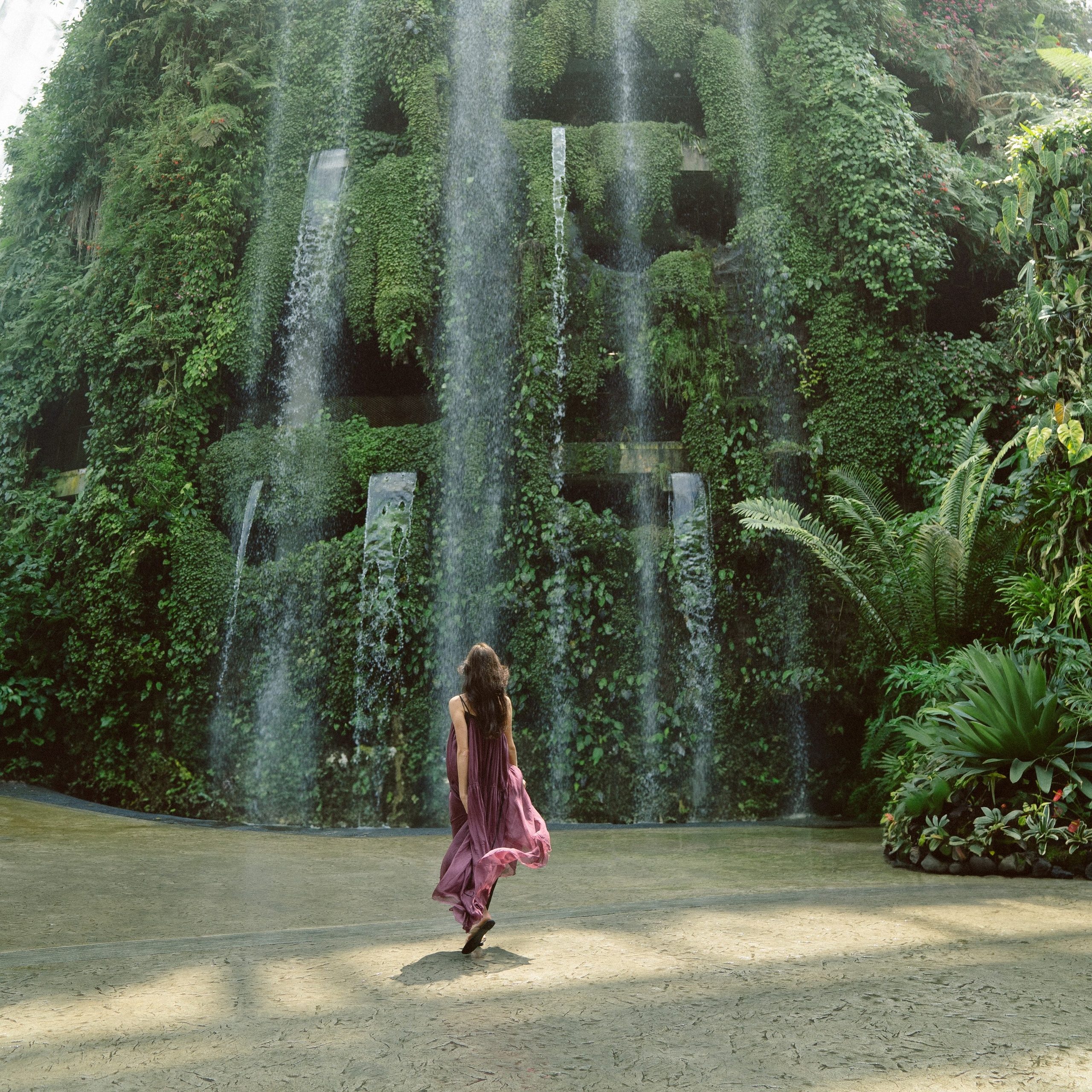 Gardens by the Bay. Dasha in Singapore