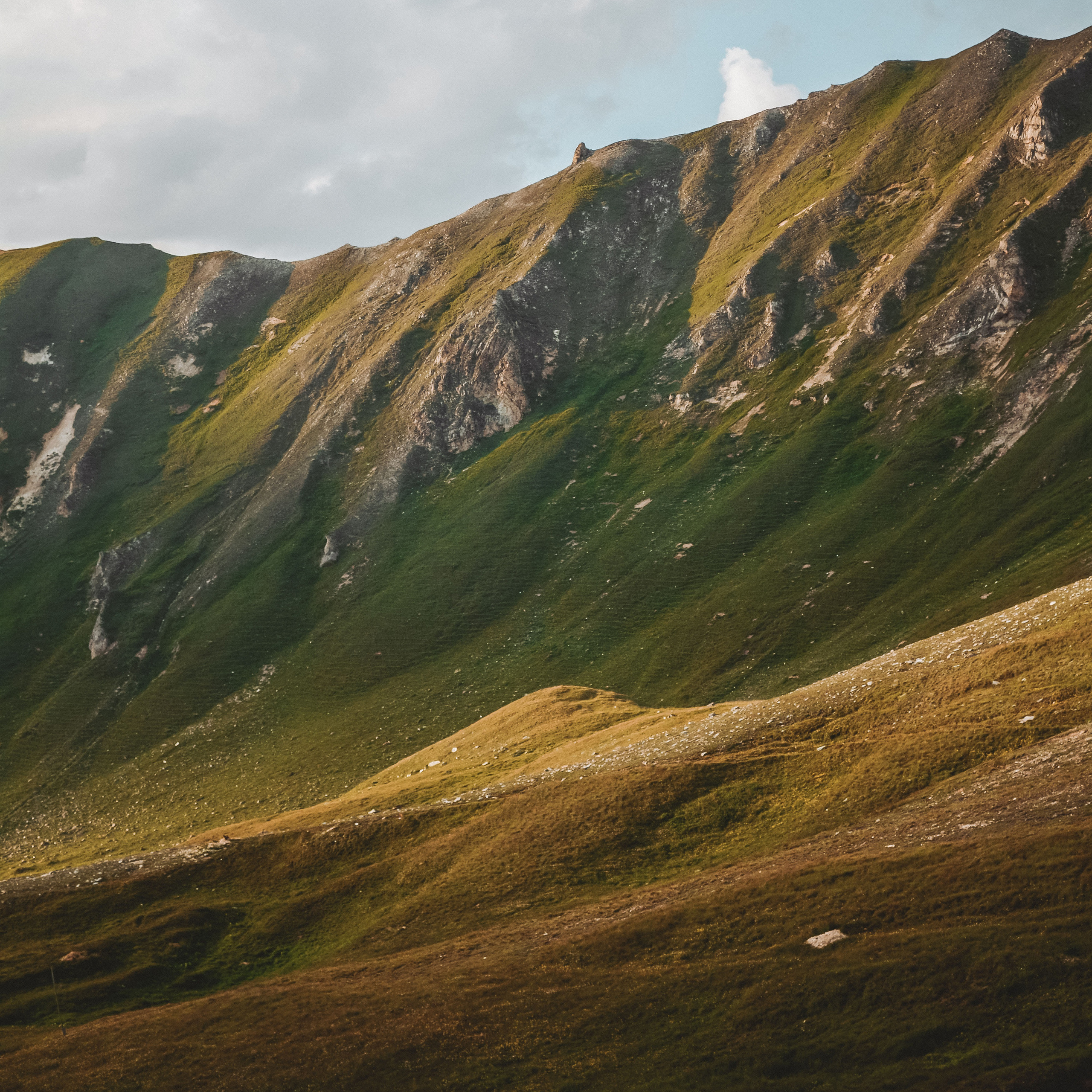 Allgemeine Geschäftsbedingungen. Juligraphy