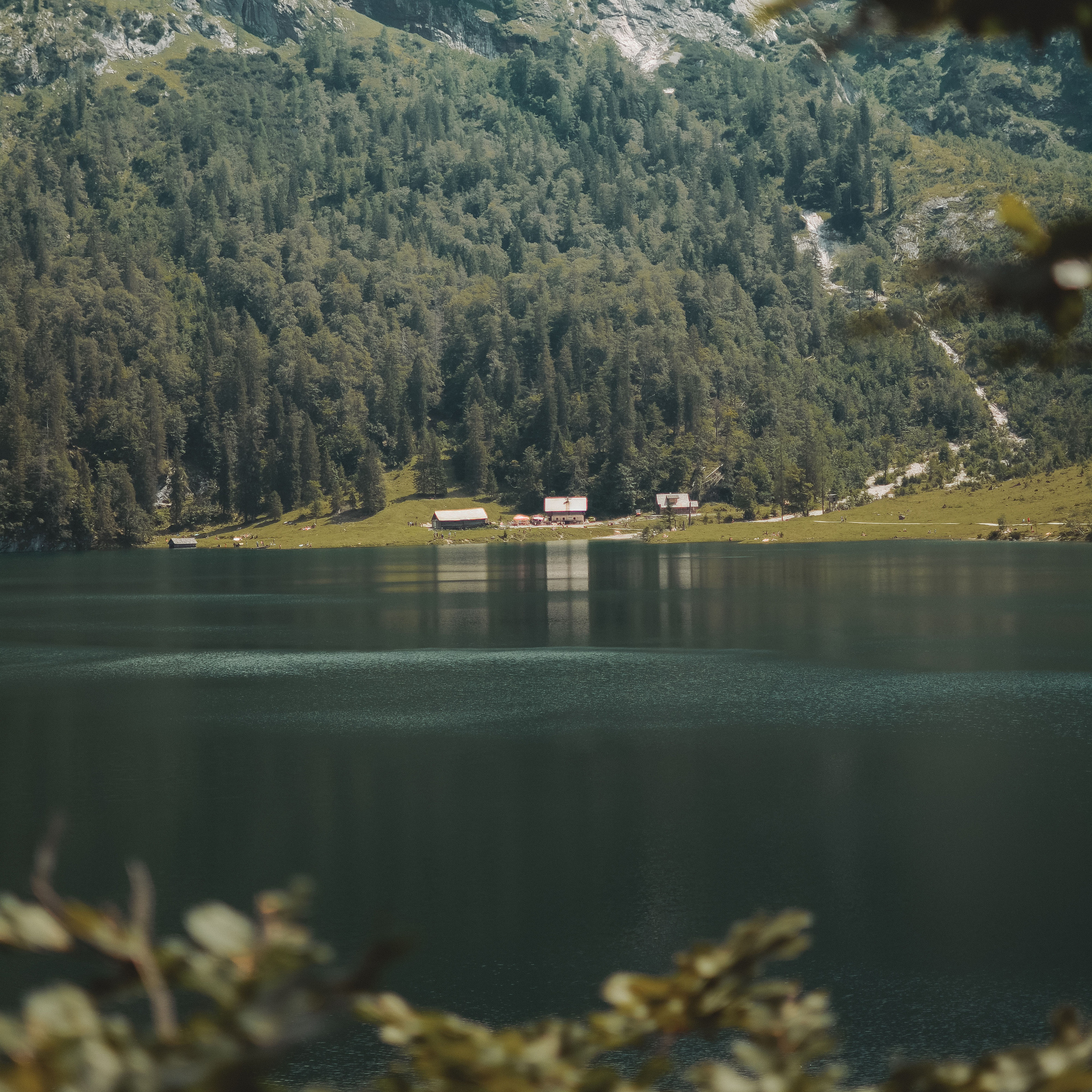 Allgemeine Geschäftsbedingungen. Juligraphy