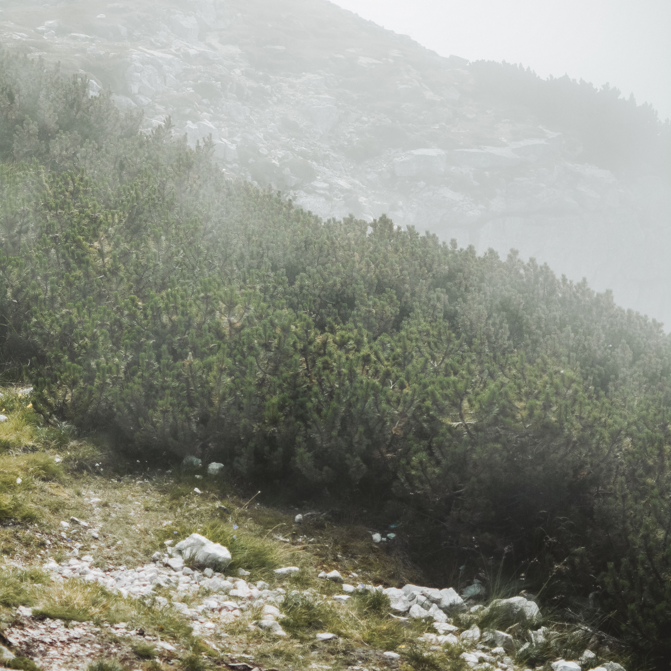 Impressum. Juligraphy