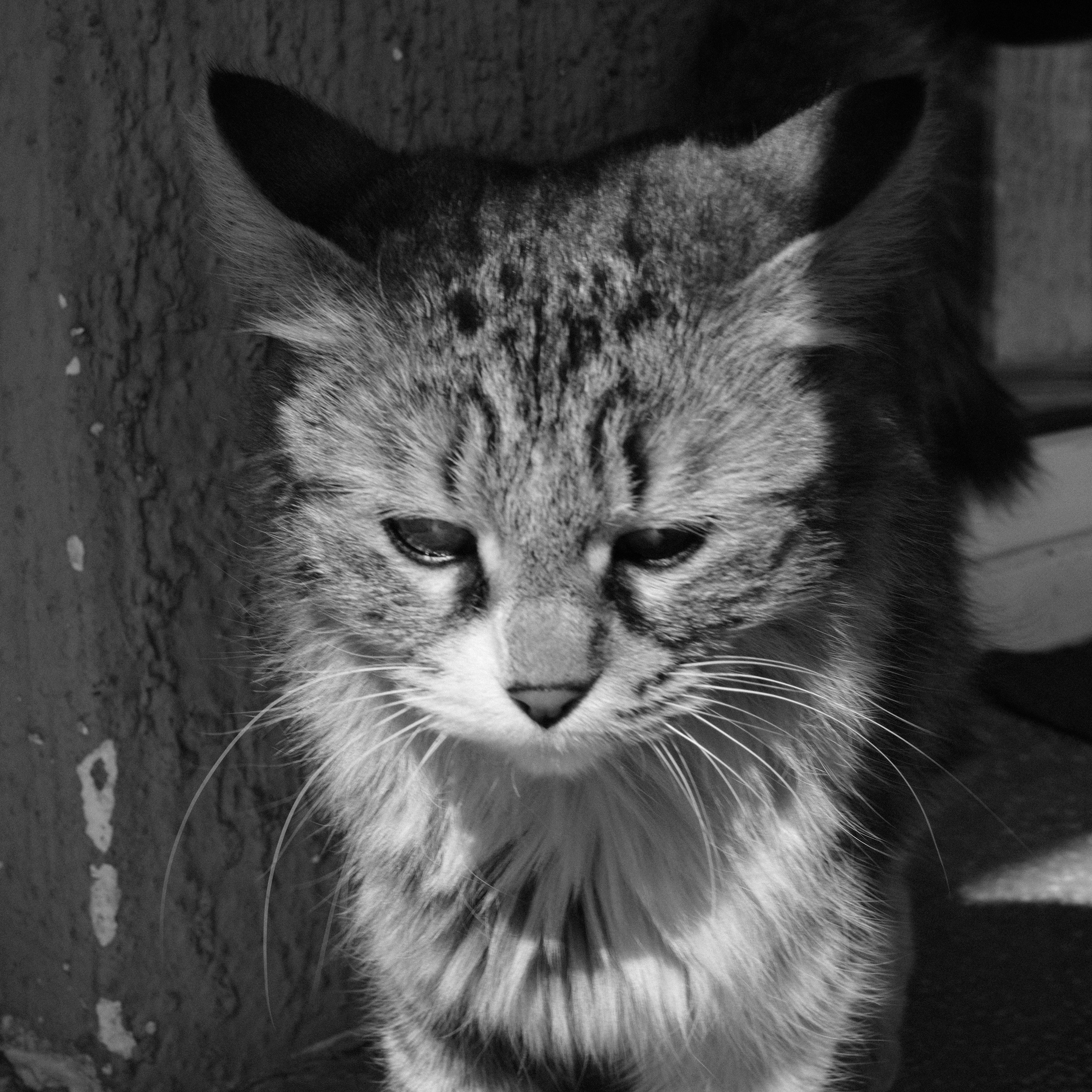 My X Recipes. @Gio.Fujifilm official Fujifilm Ambassador & X-Photographer in Georgia