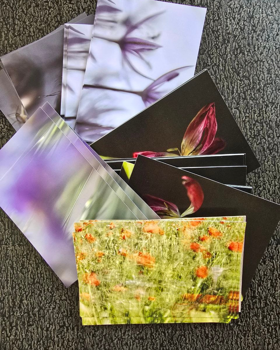 Natalja Poplavska — Visual artist, Photographer, East Sussex, London