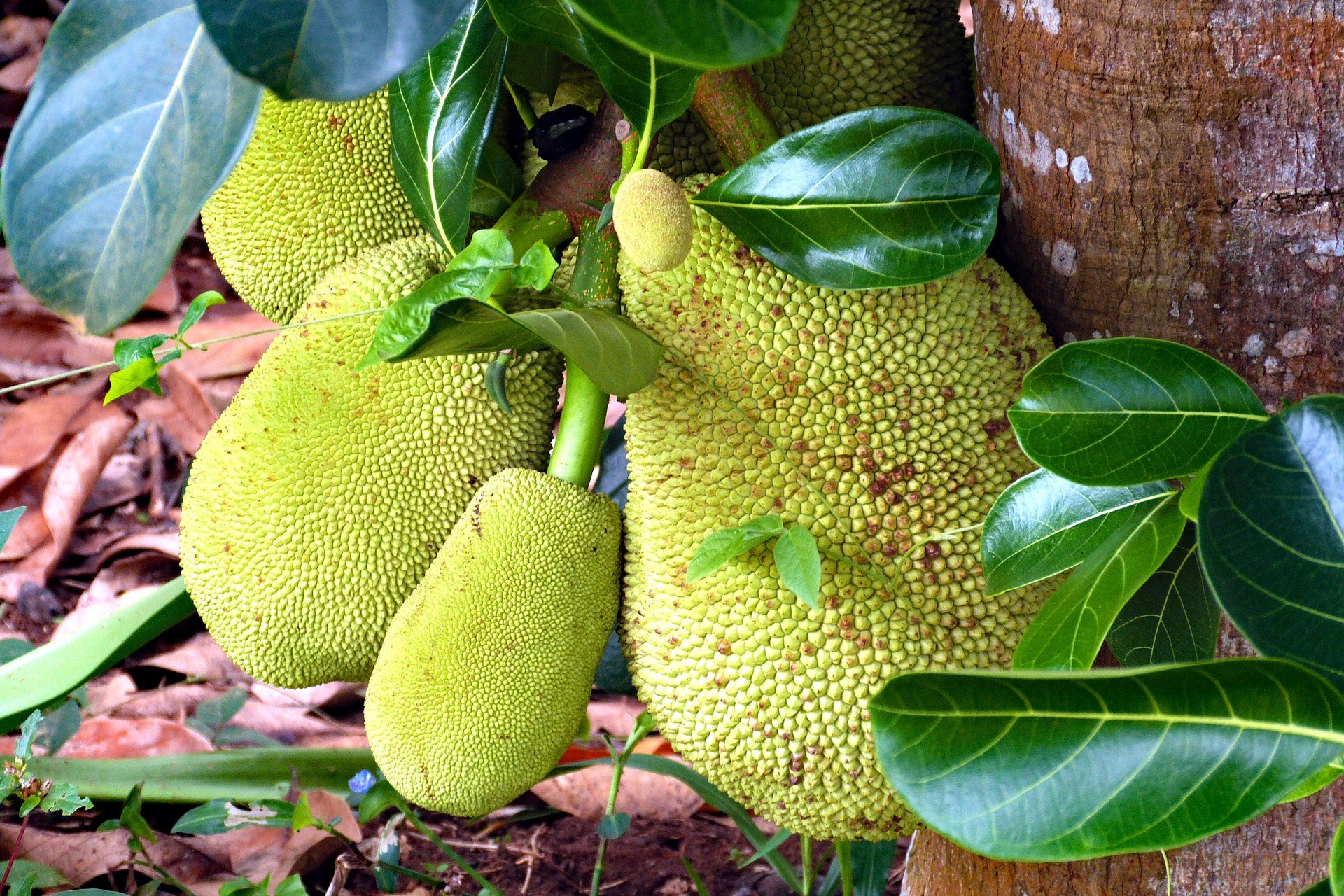 Занзибар. Elina Reisen. Туристическое агентство в Аугсбурге