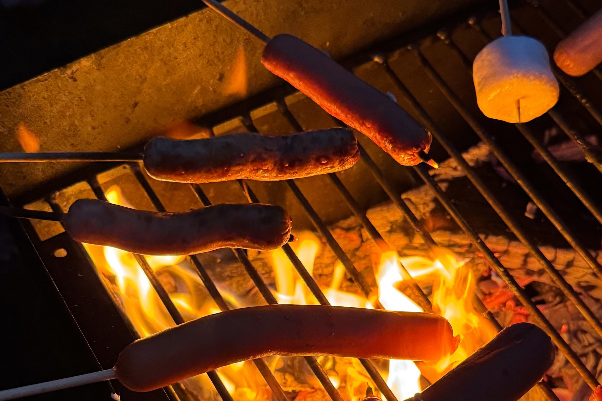 «Цирк! Цирк! Цирк!», Лигурия 2026. Семейные лагеря в Европе с Ниной Янечковой и Ириной Зиновьевой