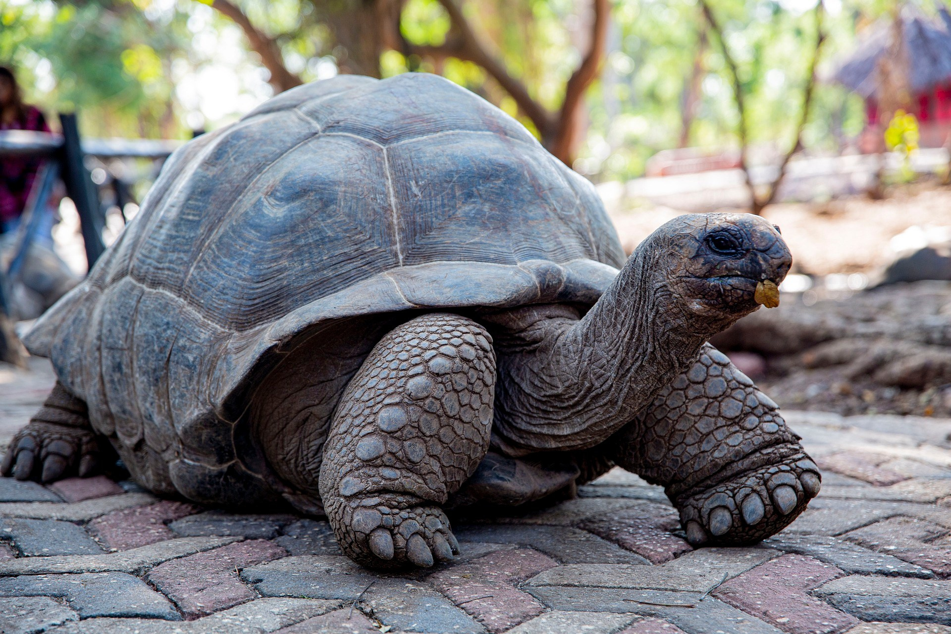 Занзибар. Elina Reisen. Туристическое агентство в Аугсбурге