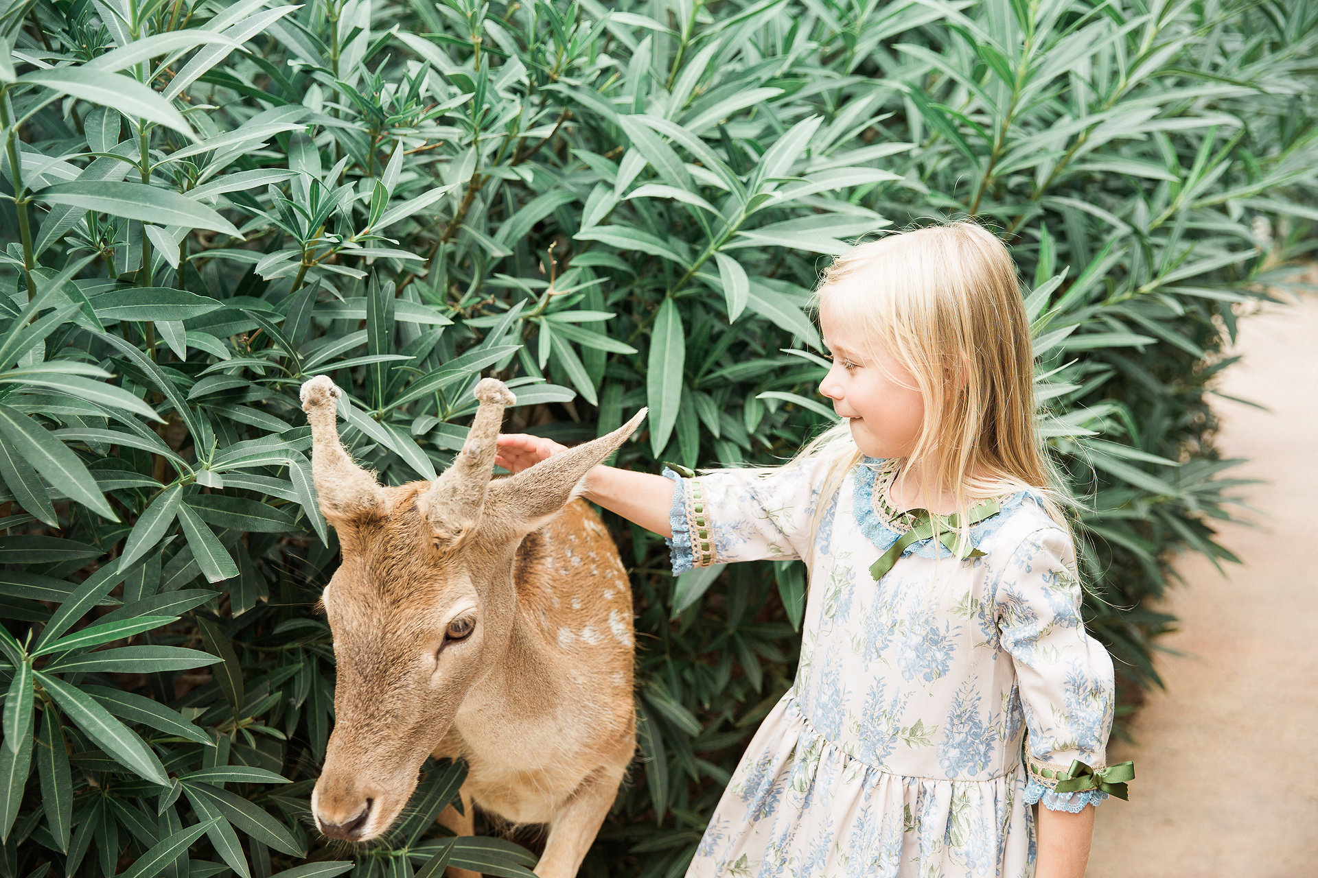 Photographer in Spain, photographer in Fuengirola, photographer in Mal