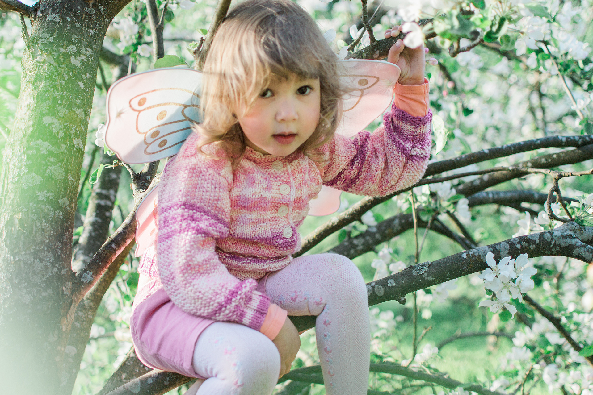 Kuvien perus- ja jälkikäsittely