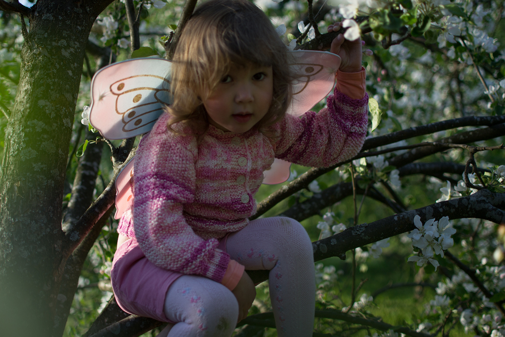 Kuvien perus- ja jälkikäsittely