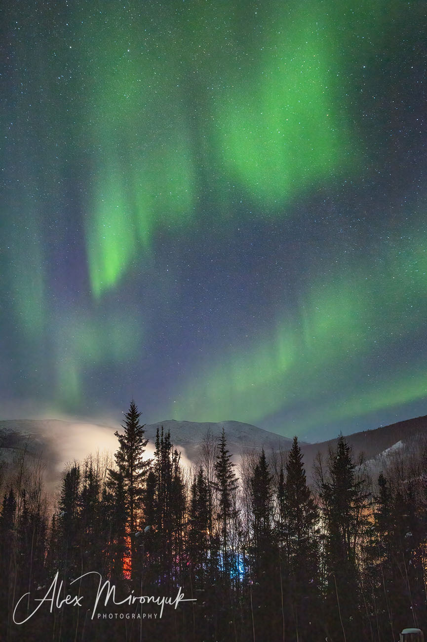 Ice Caves Adventure. Pet, Senior, Landscape, portrait studio, photographer in Miami and Sou