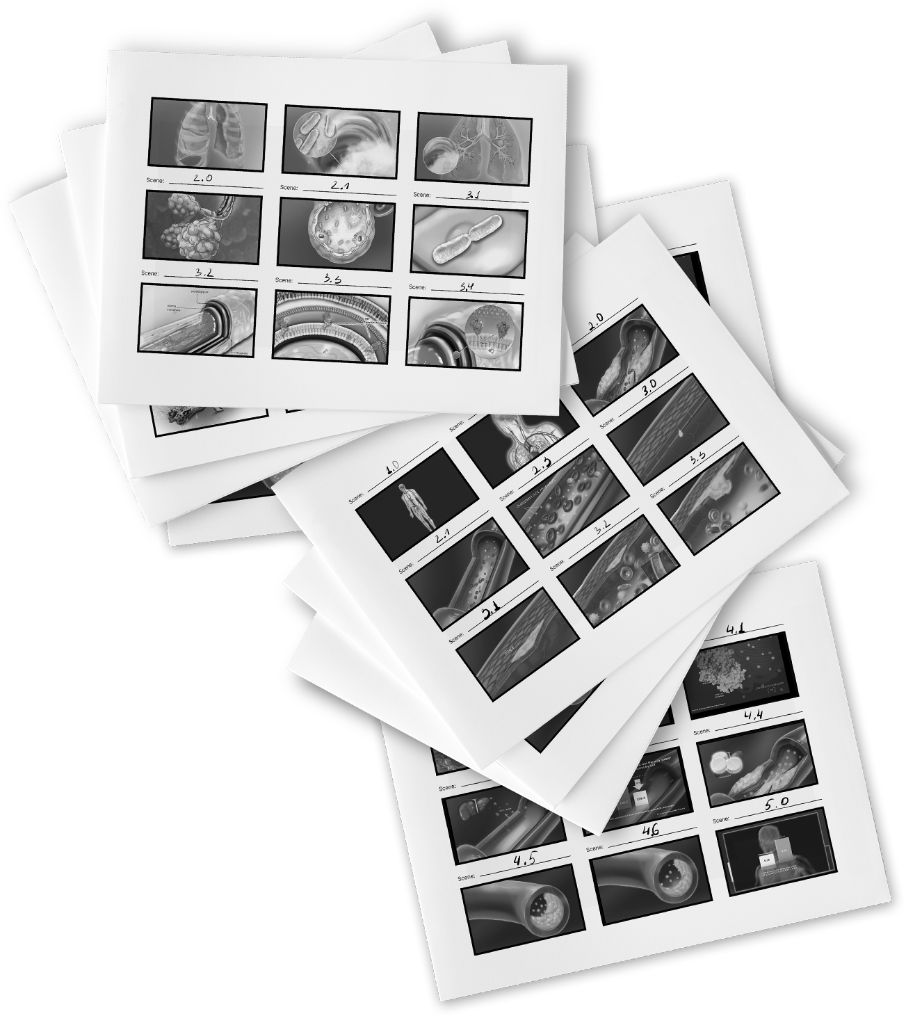 Professional Storyboard Artist Specializing in Scientific & Medical Videos | MOA & MOD Animation. Professional freelance medical illustrator