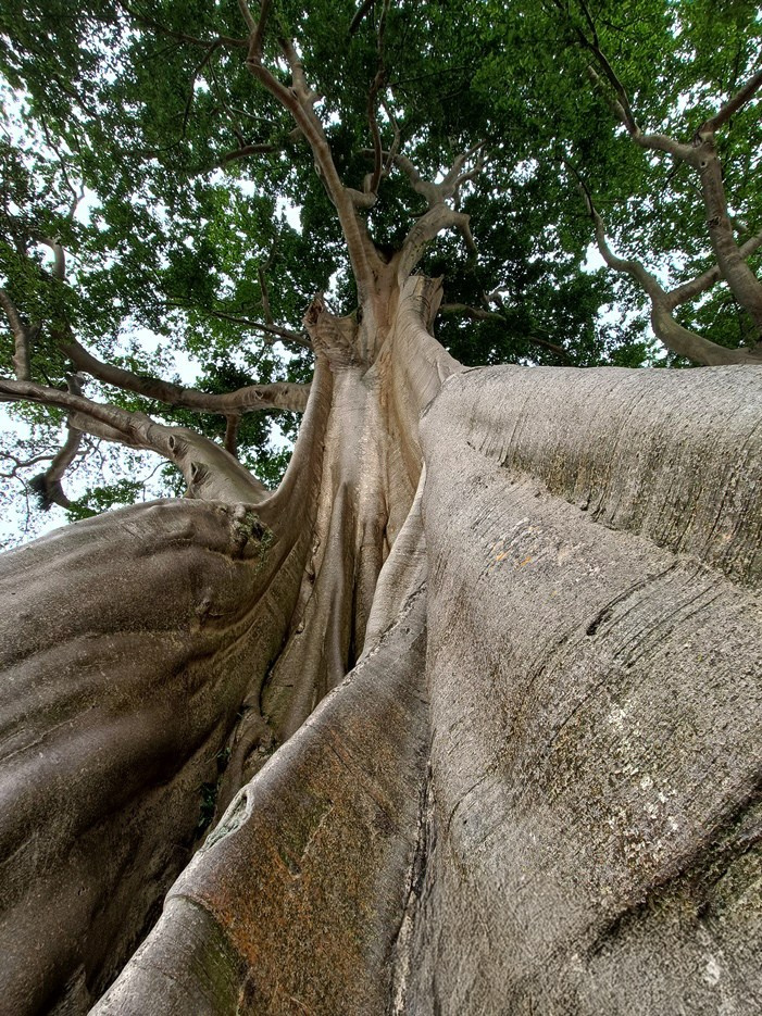 April 2 Golf Photo Tour. Individual and couple Photographer in Bali — Bali Dream Photo