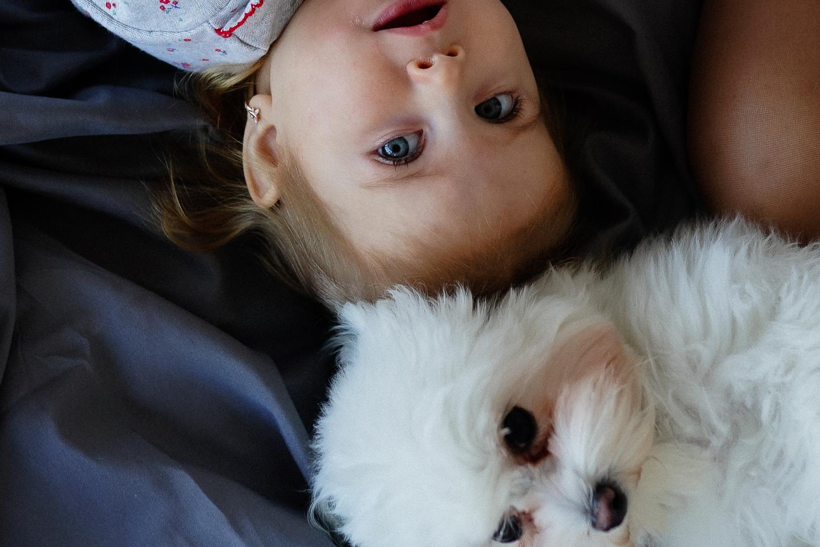 Сімейна фотосесія ціна, Фотосесія Київ ціна, Фотосесія Київ ціна, Професійна фотосесія Київ недорого, Заказать недорогую фотосессию в Киеве, Ціни Послуги | фотосесії у Києві