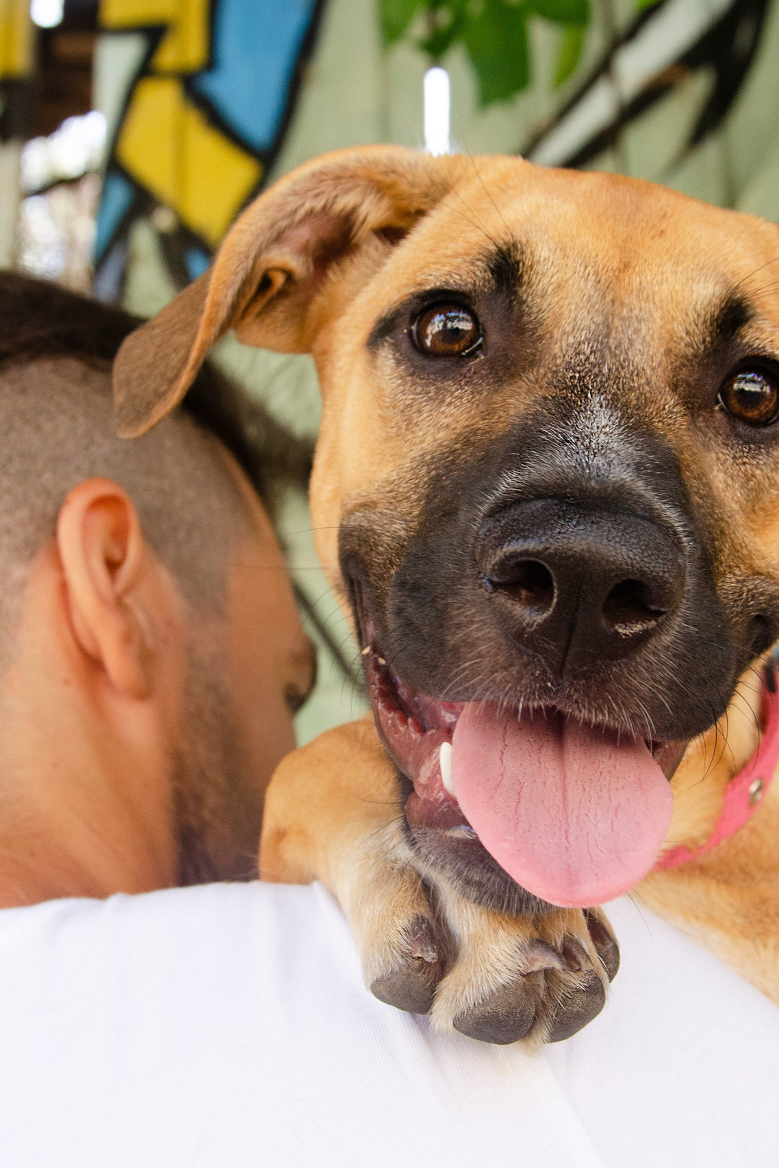 Семейный фотограф в Израиле Виктория Вайзер