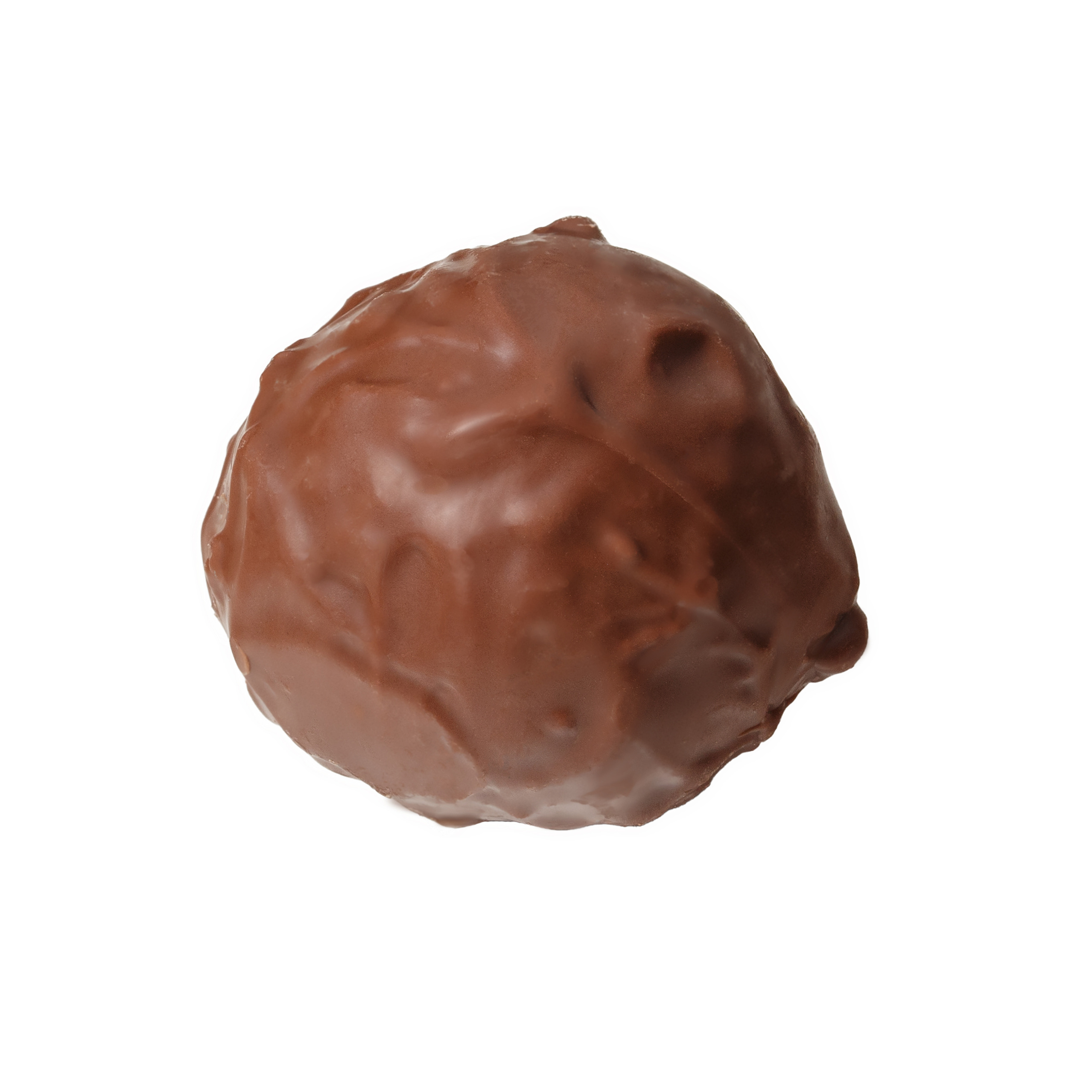 Price. Photographer in the Den Haag Rotterdam Amsterdam Osypenko Oksana