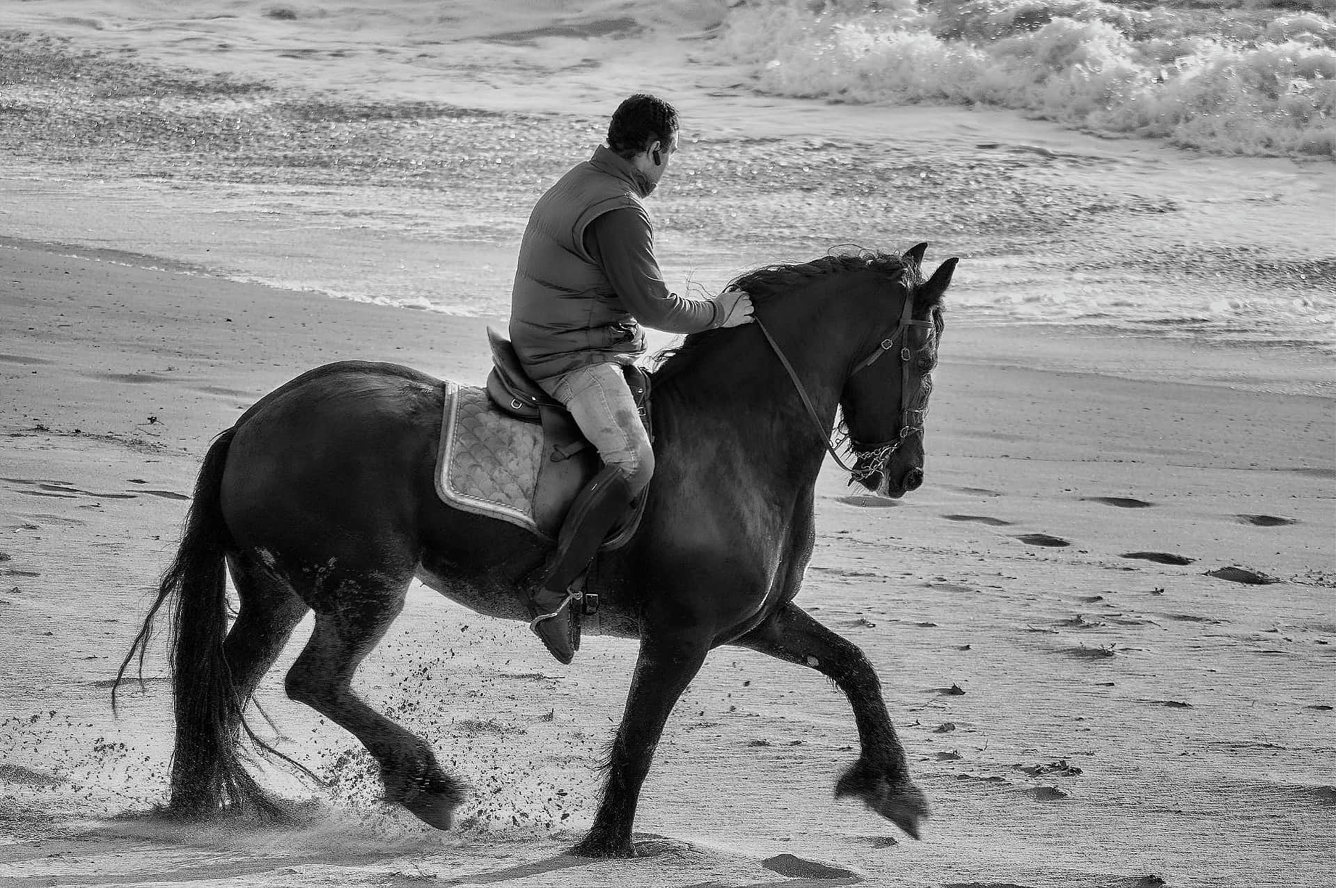 Eco Salgados Agroturismo | Contactos. Passeios a Cavalo na Praia Peniche | Eco Salgados Agroturismo