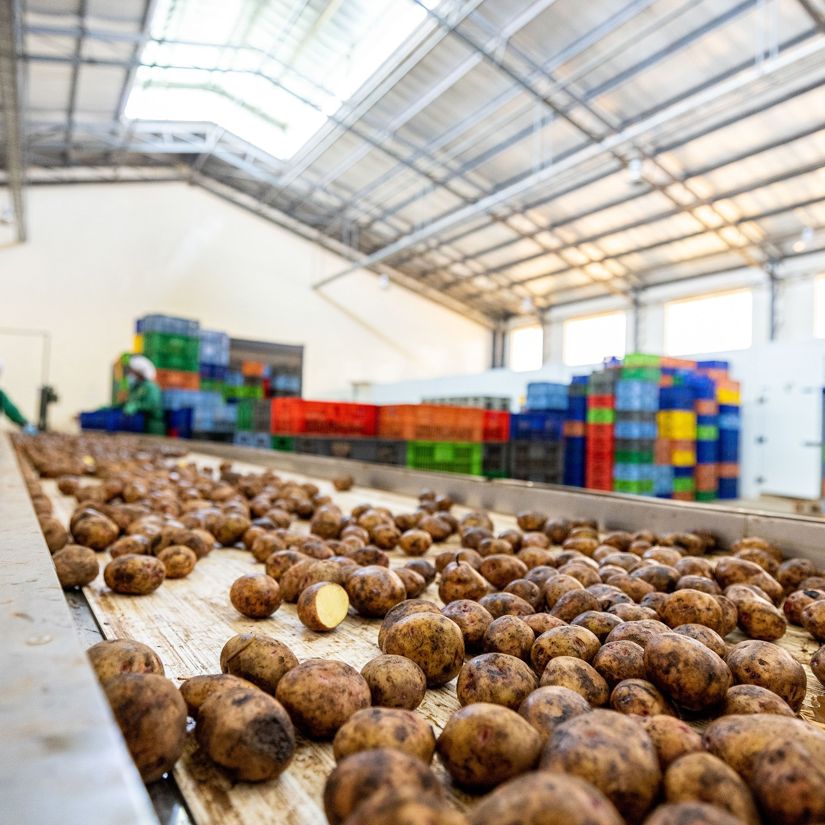 A portrait of an expectant mother with her friends dancing as confetti fills the air, at a baby shower/Gender reveal event in Nairobi, Kenya