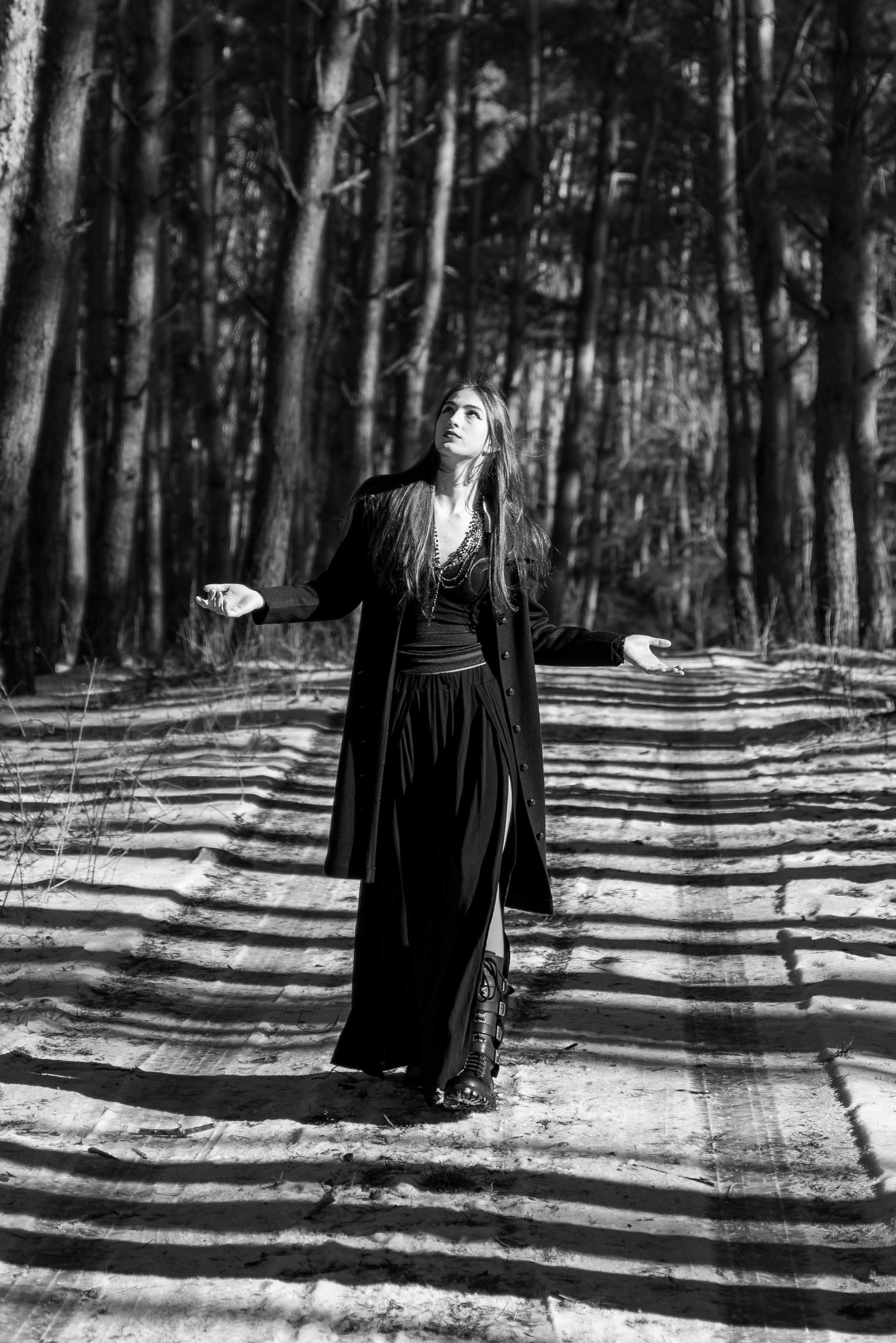 Prizonieră la castel. Daniel Hașiegan