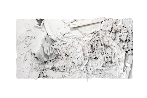 SVIVA STATION. Ekaterina Belukhina: Multidisciplinary artist