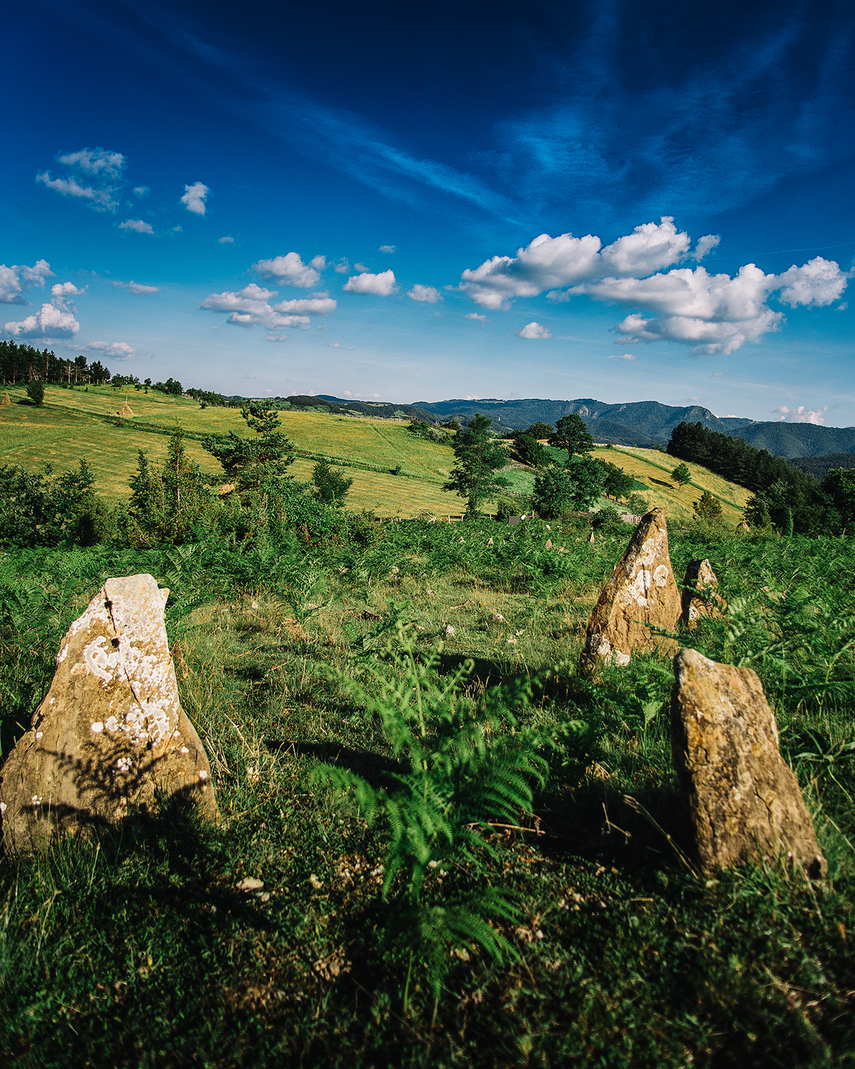 Searching for my Roots. Mark Smilyanic | Portrait and Adventure Photographer from Belgrade