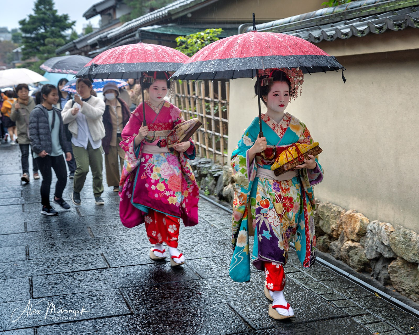 Hanami Season in Japan. Pet, Senior, Landscape, portrait studio, photographer in Miami and Sou