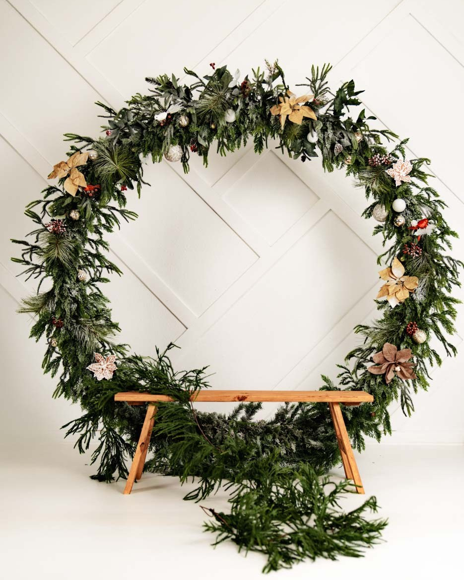 Christmas Studio Mini Sessions — Family Photography in Jacksonville, FL