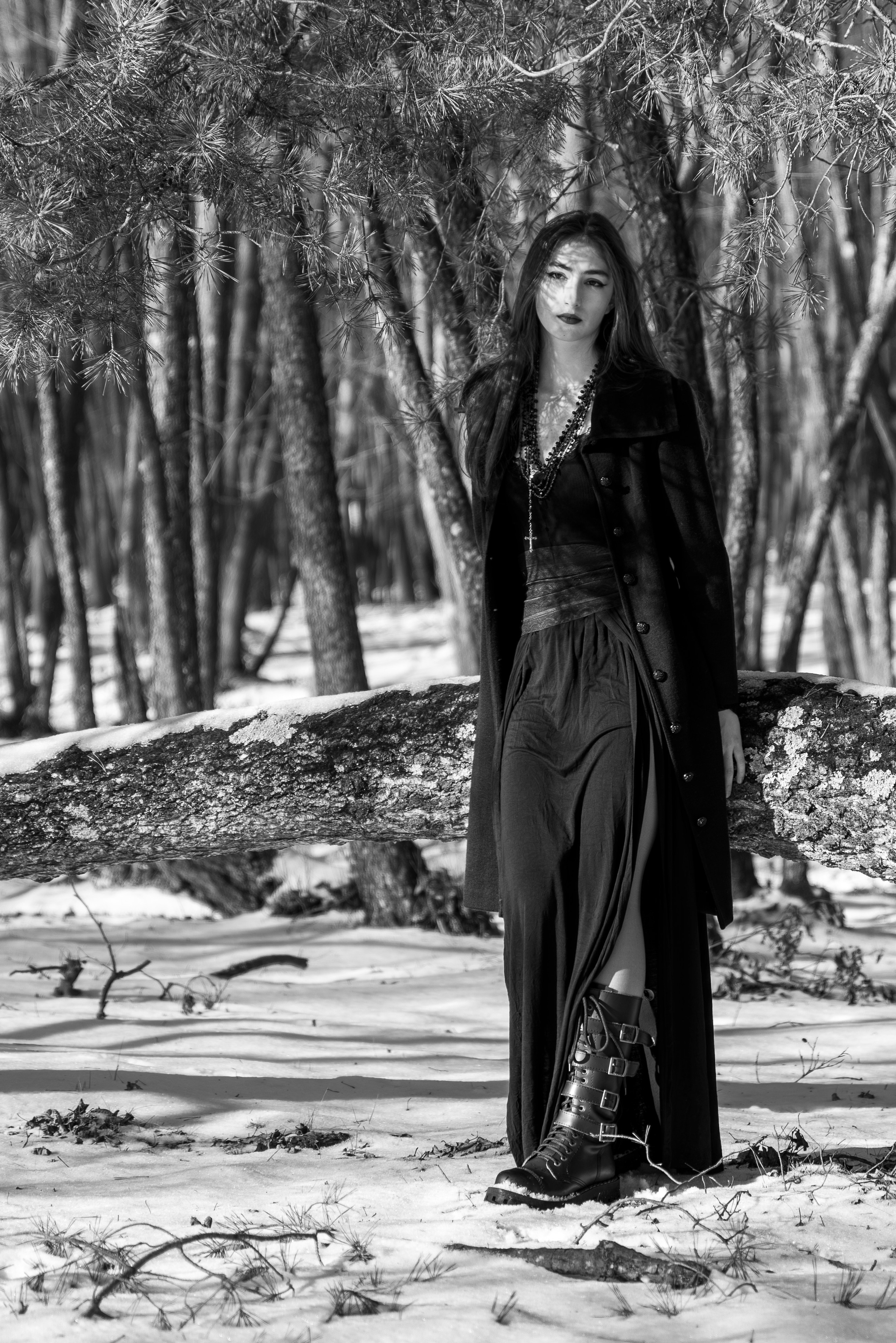 Prizonieră la castel. Daniel Hașiegan