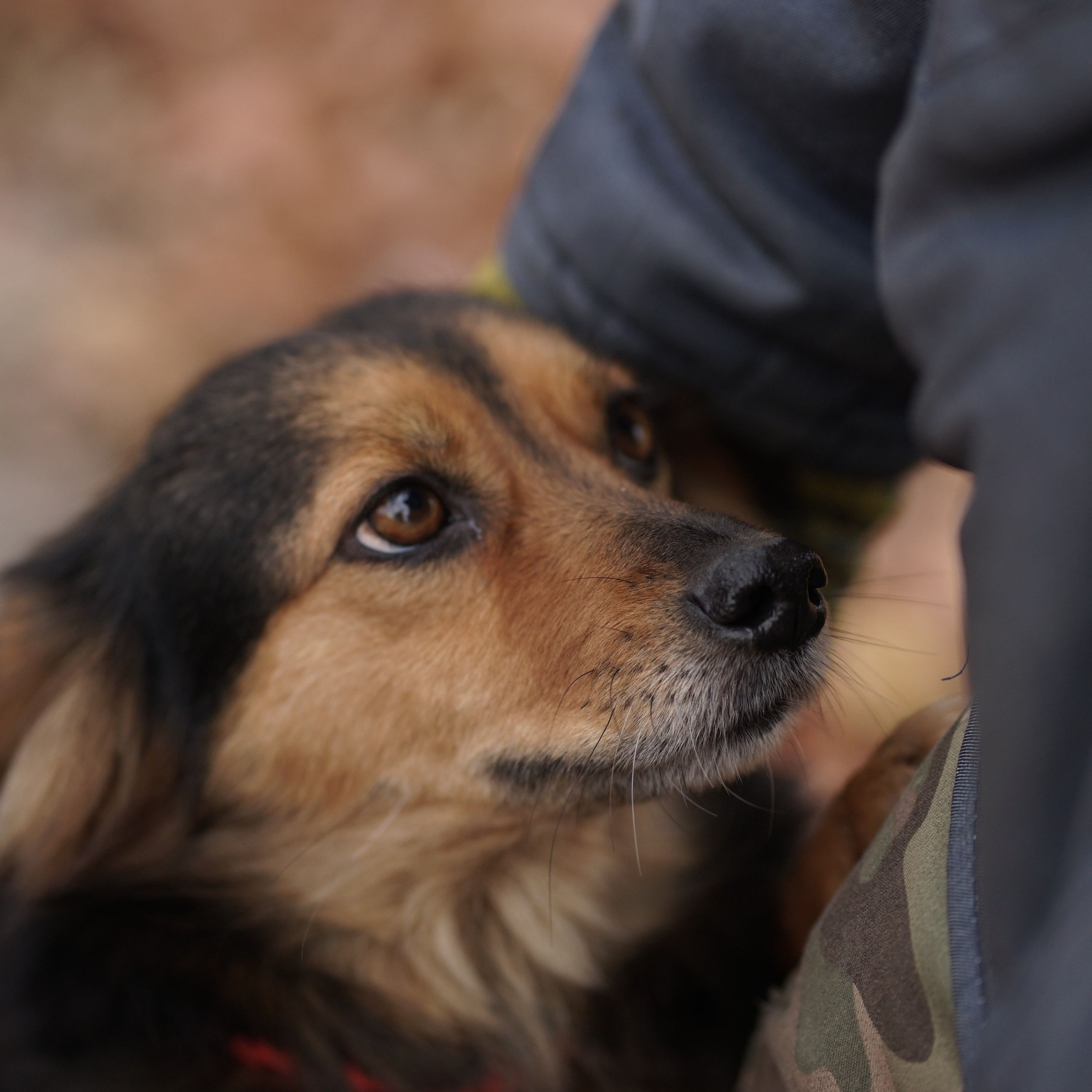 Сім’я кожному. Family photographer in Kiev Natalia Shkavron