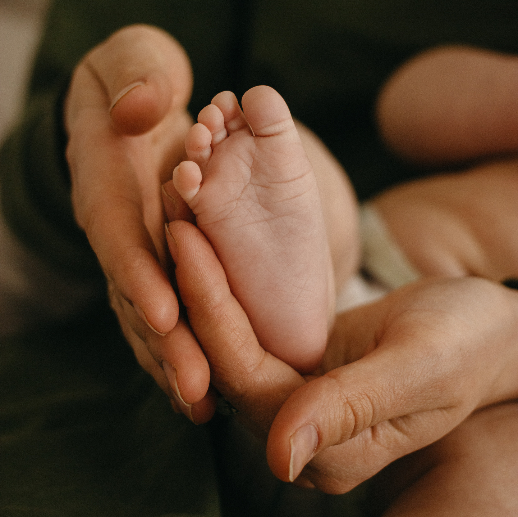 Цены. Семейный фотограф и видеограф в Эстонии Анна Оя