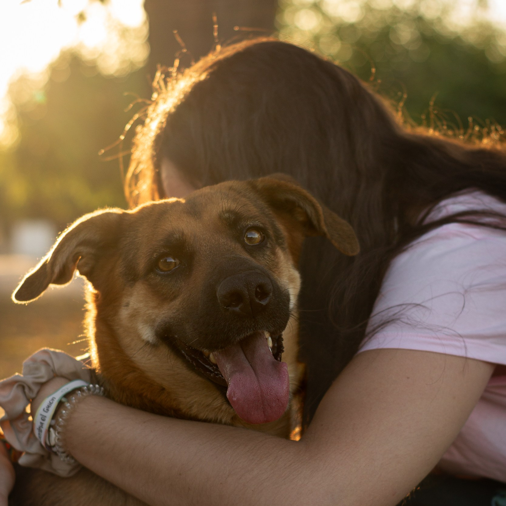 Fotos con huella, fotografía de perros y mascotas en Sevilla