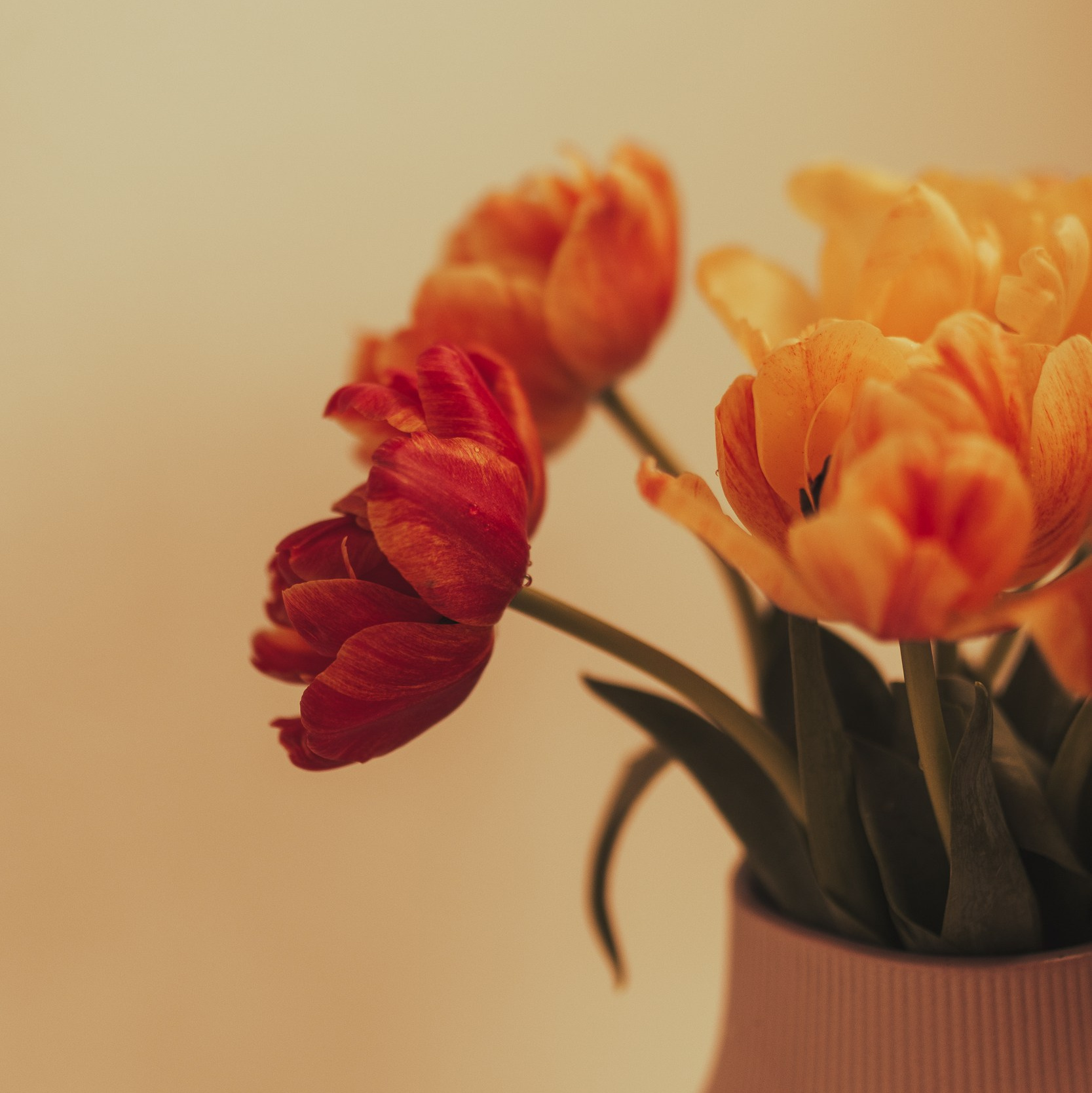 Обучение. Документальный фотограф в Израиле Кристина Зингер