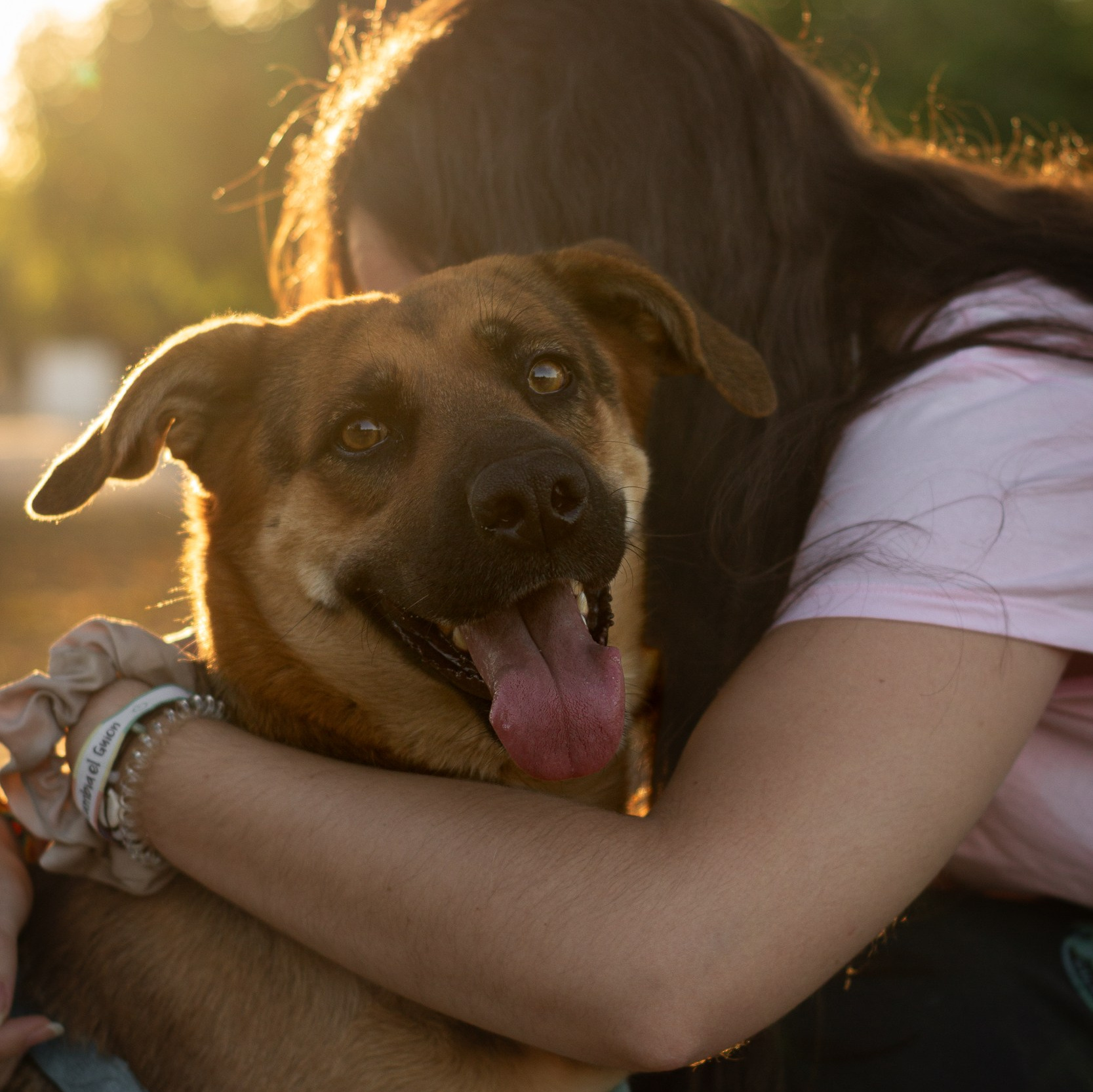 Fotografía de mascotas. Fotos con huella, fotografía de perros y mascotas en Sevilla