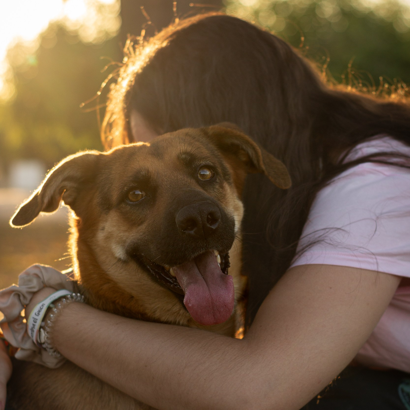 SOBRE MI. Fotos con huella, fotografía de perros y mascotas en Sevilla