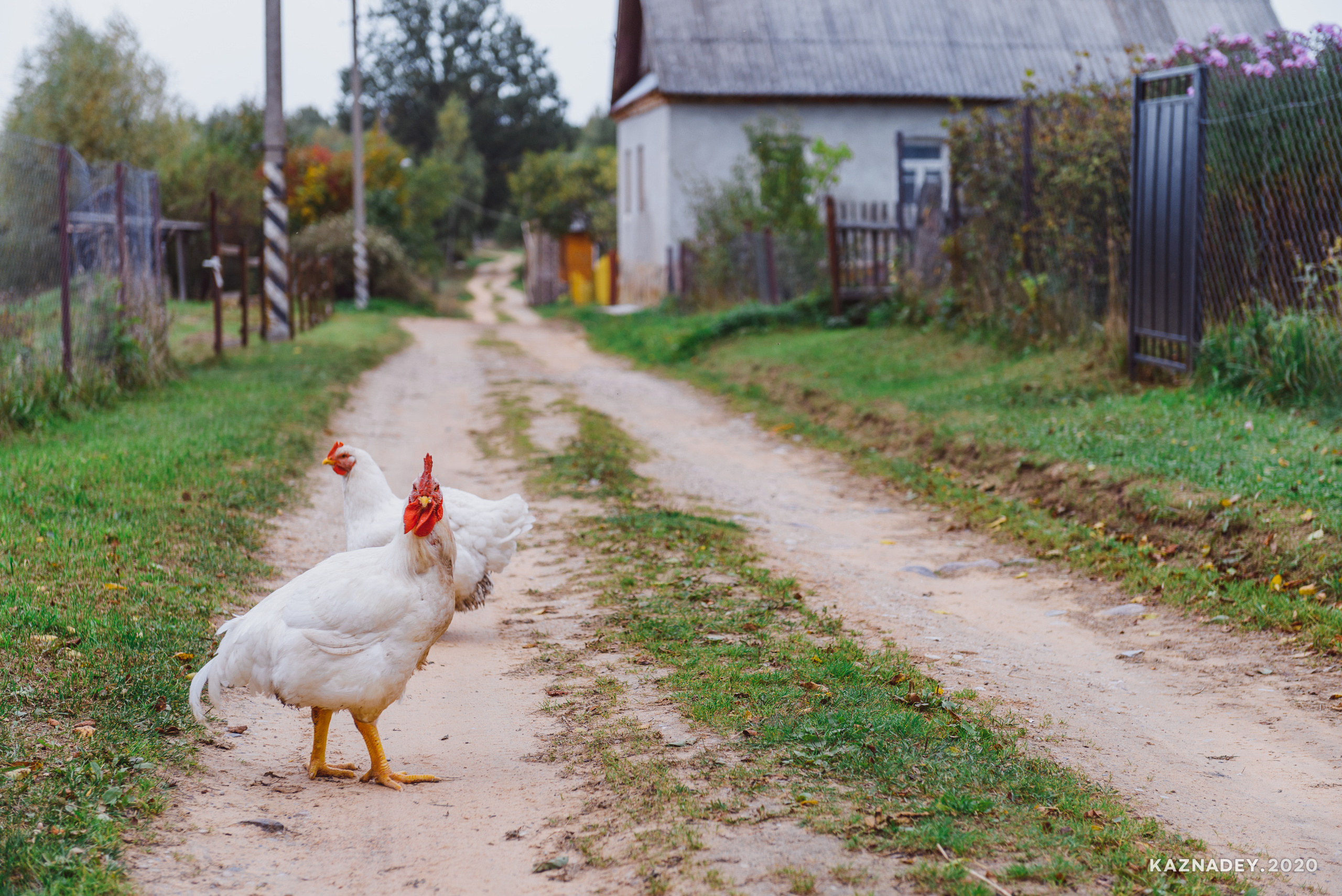 Дорога тишины, Алексей Казнадей, kaznadey, фотограф