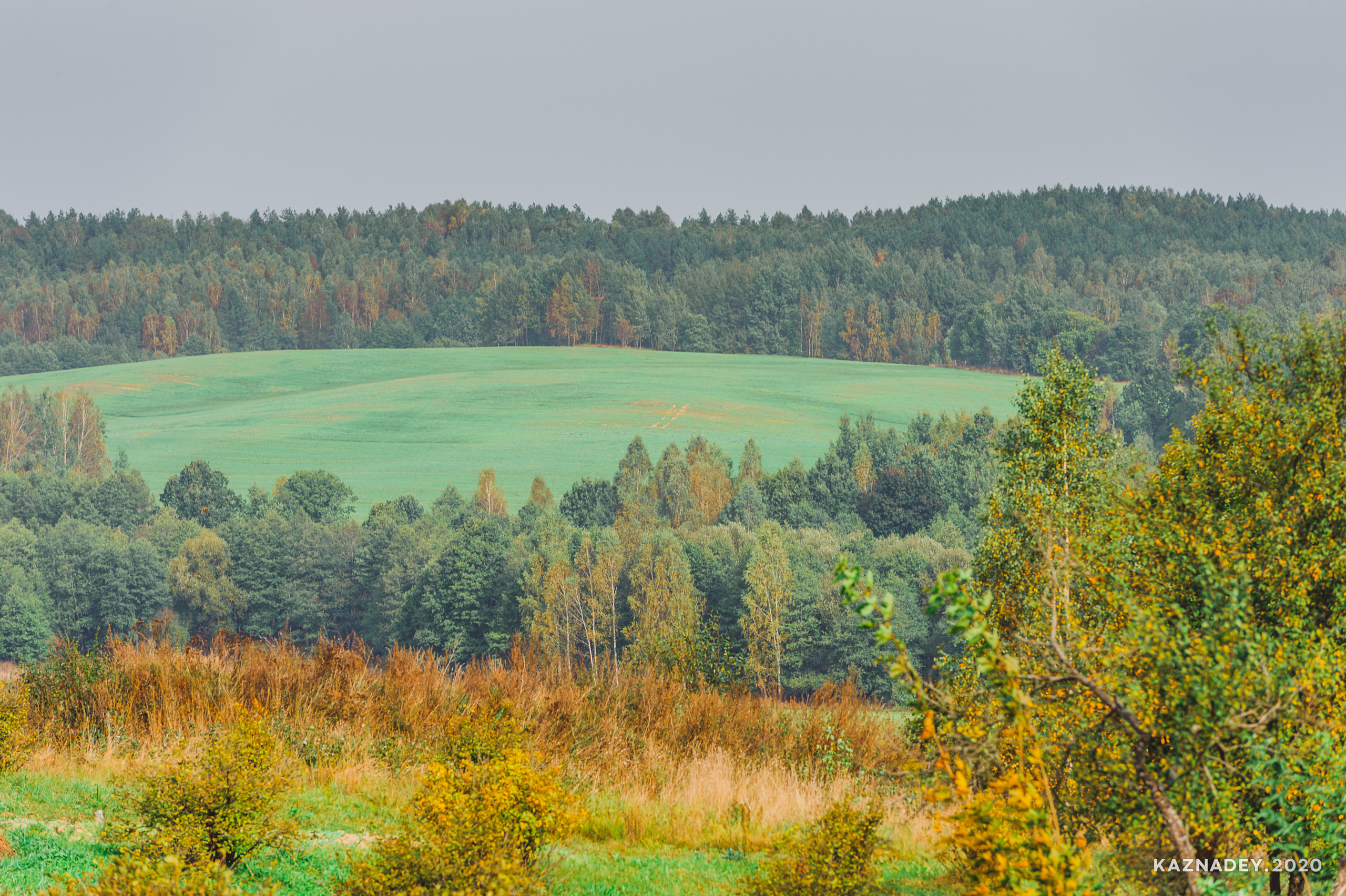 Дорога тишины, Алексей Казнадей, kaznadey
