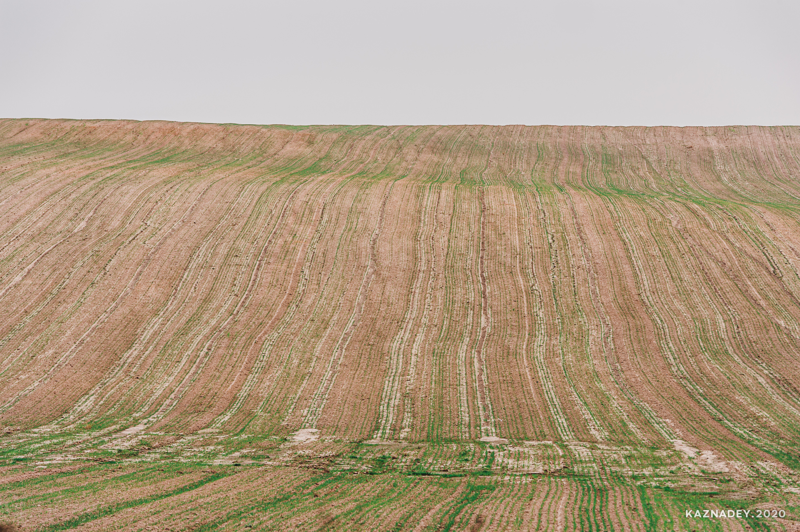 Дорога тишины, Алексей Казнадей, kaznadey