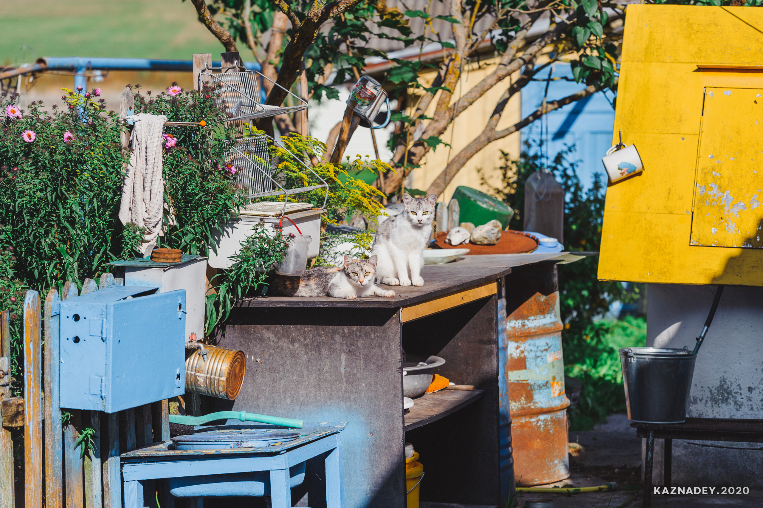 Дорога тишины, Алексей Казнадей, kaznadey